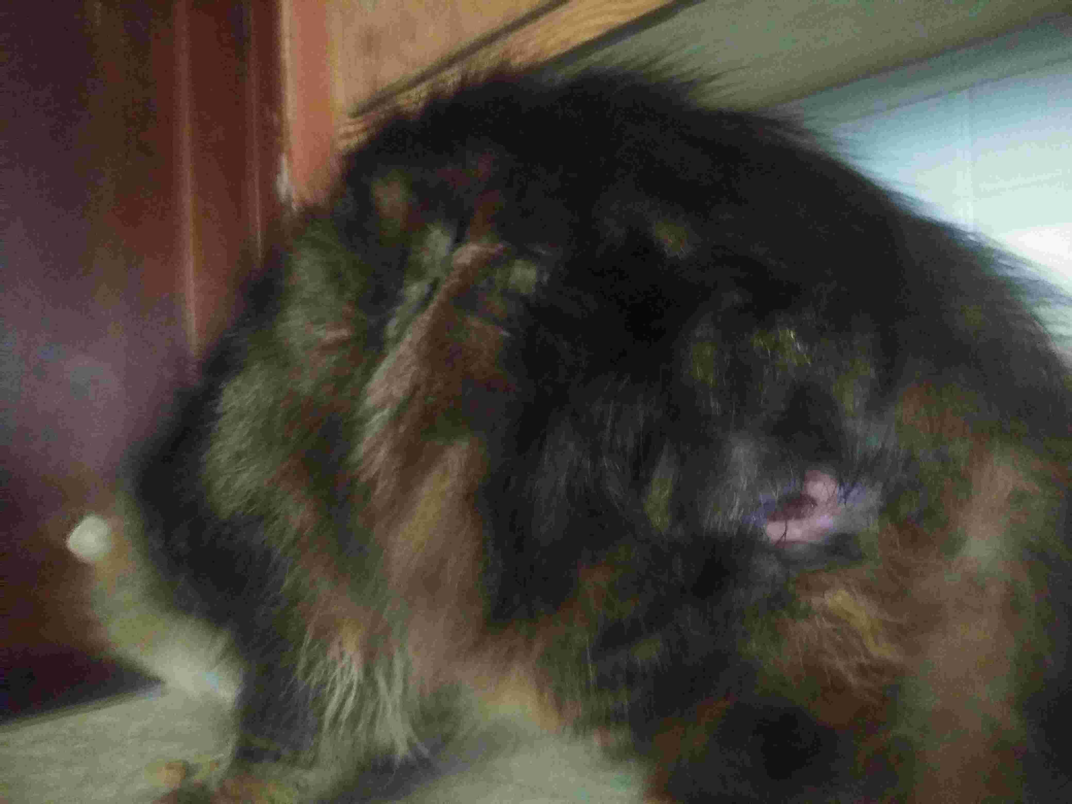 Question details sensitive content