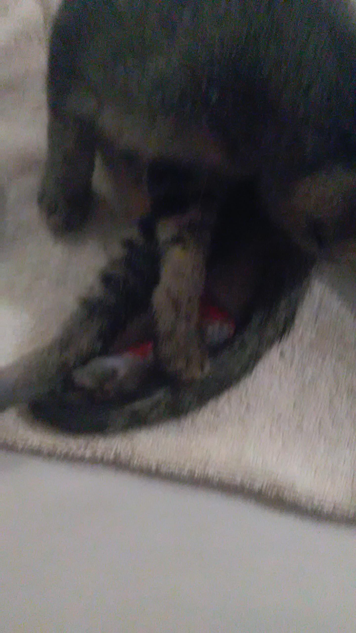 Question details sensitive content