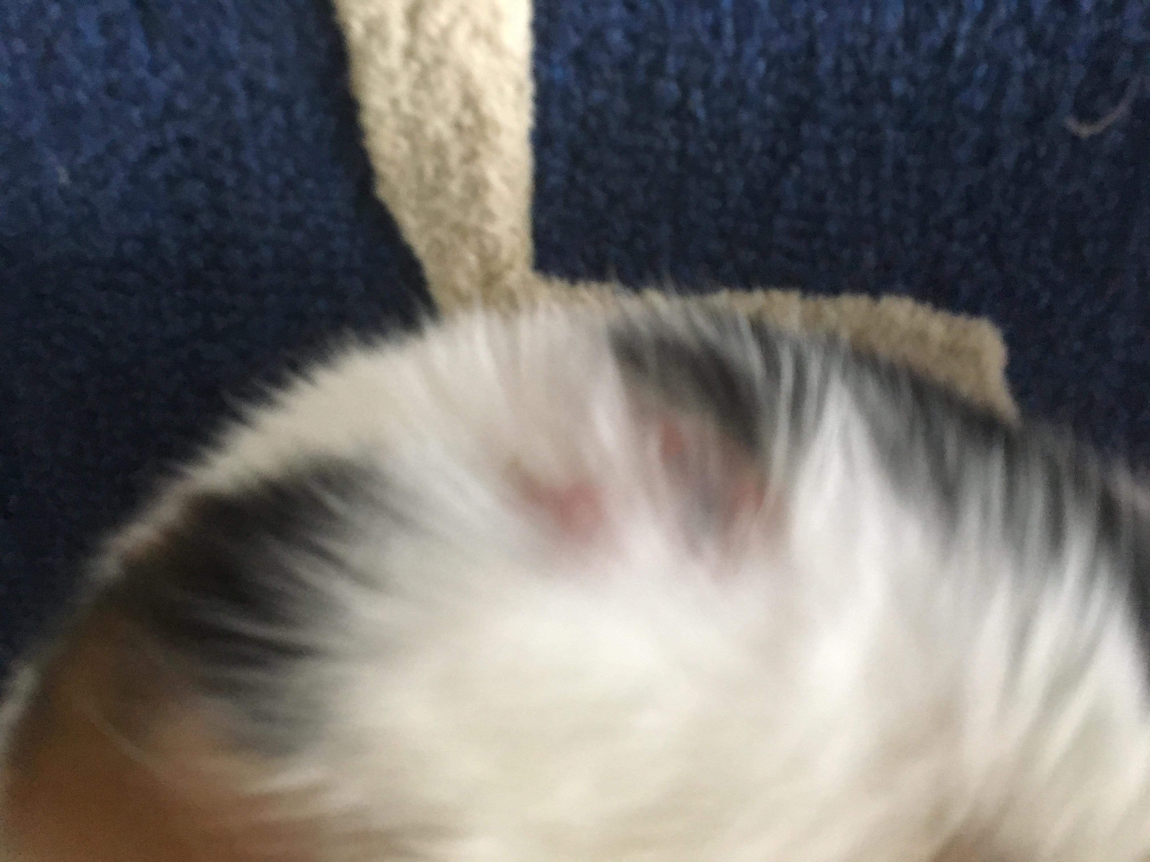 Question details sensitive content