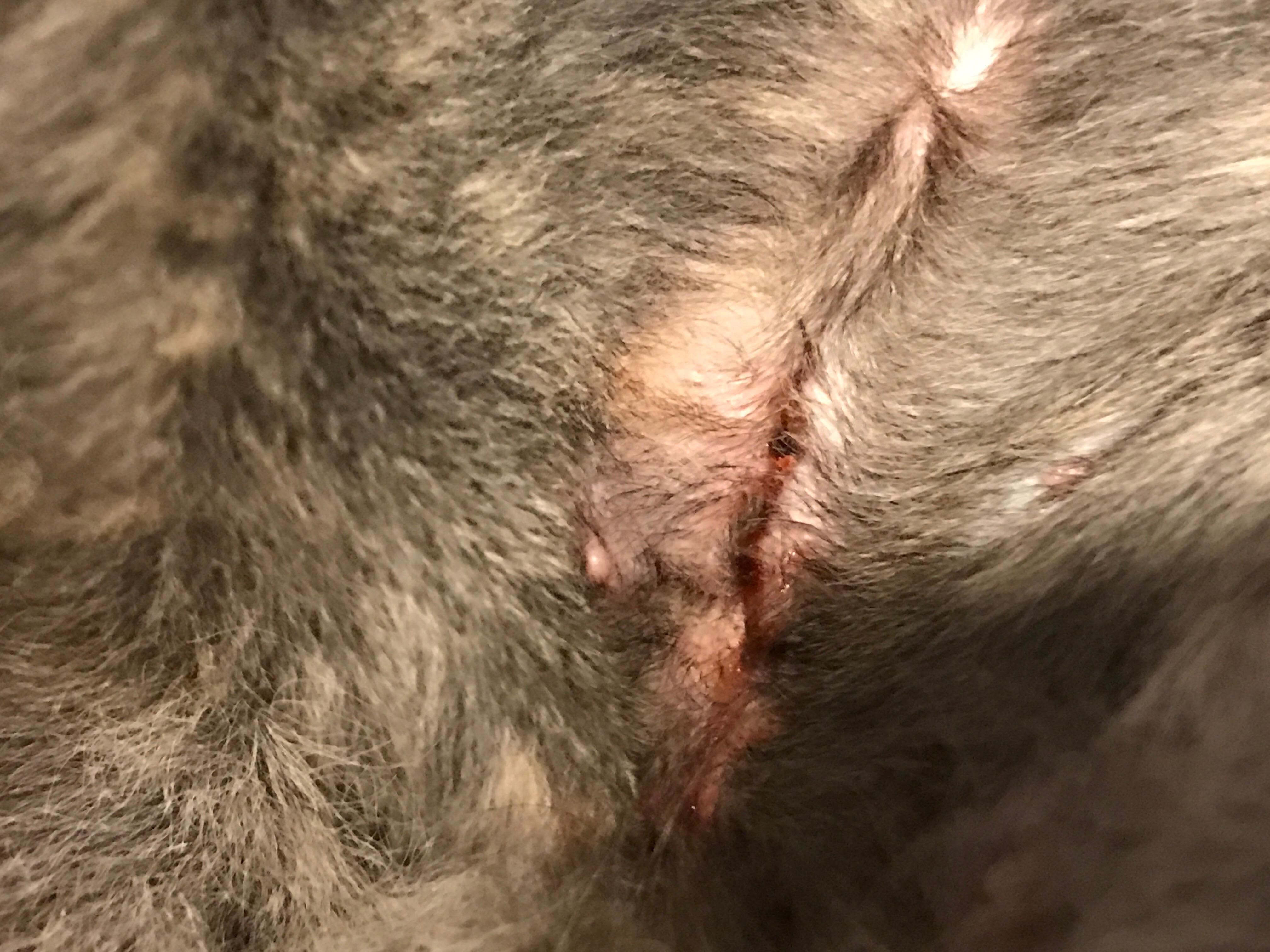 Question details sensitive content