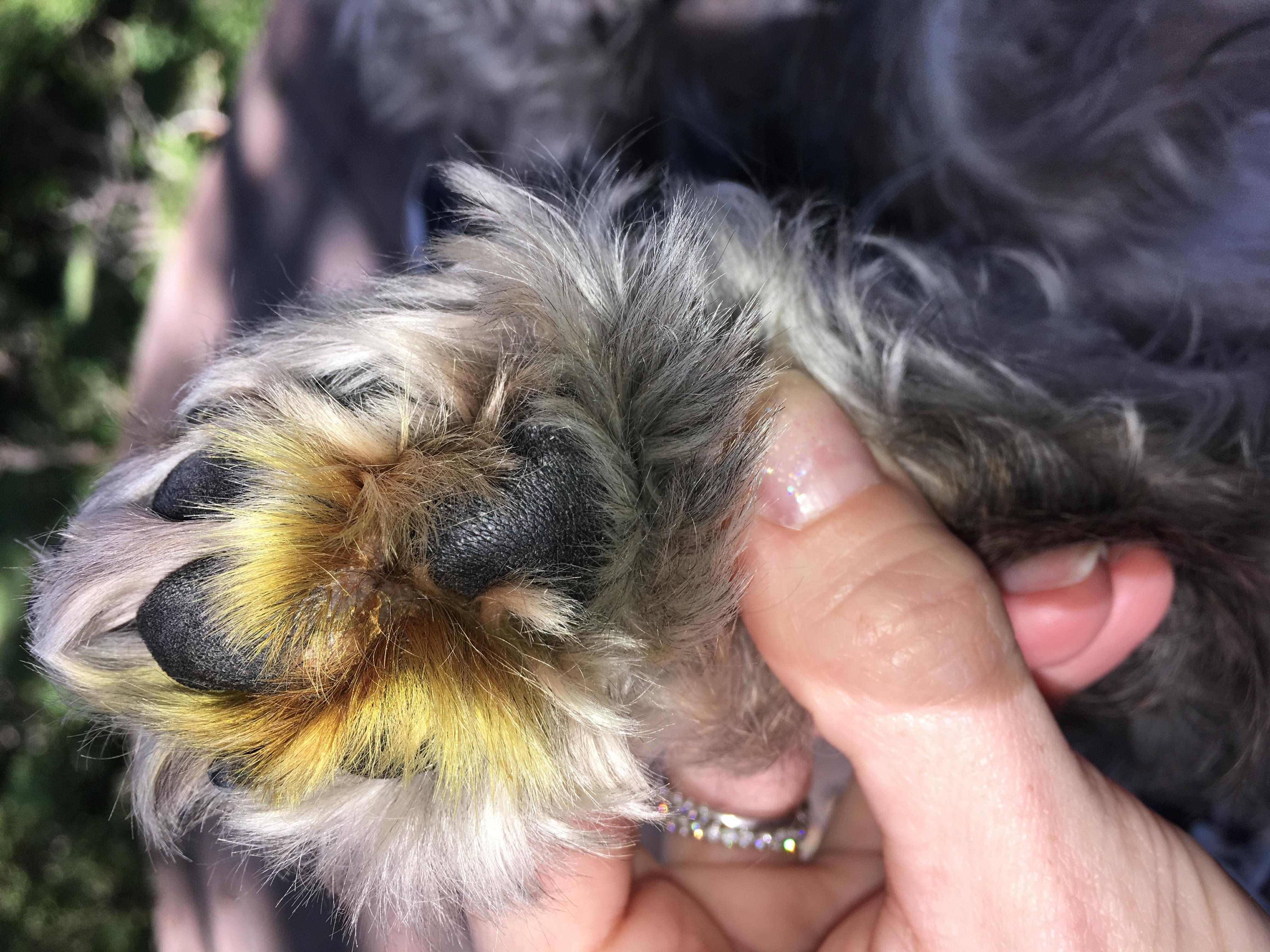 Question details sensitive content