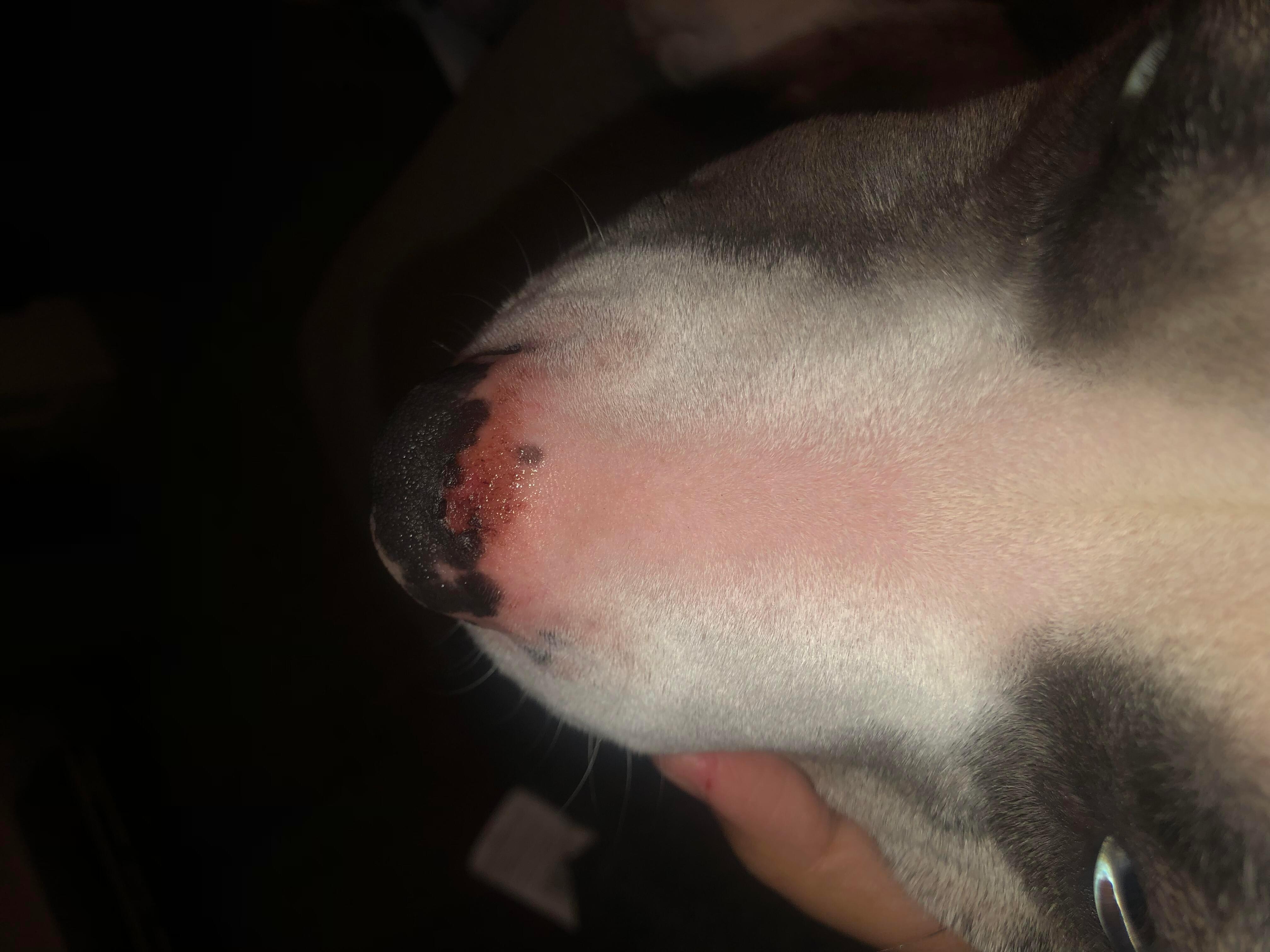 Question details sensitive content