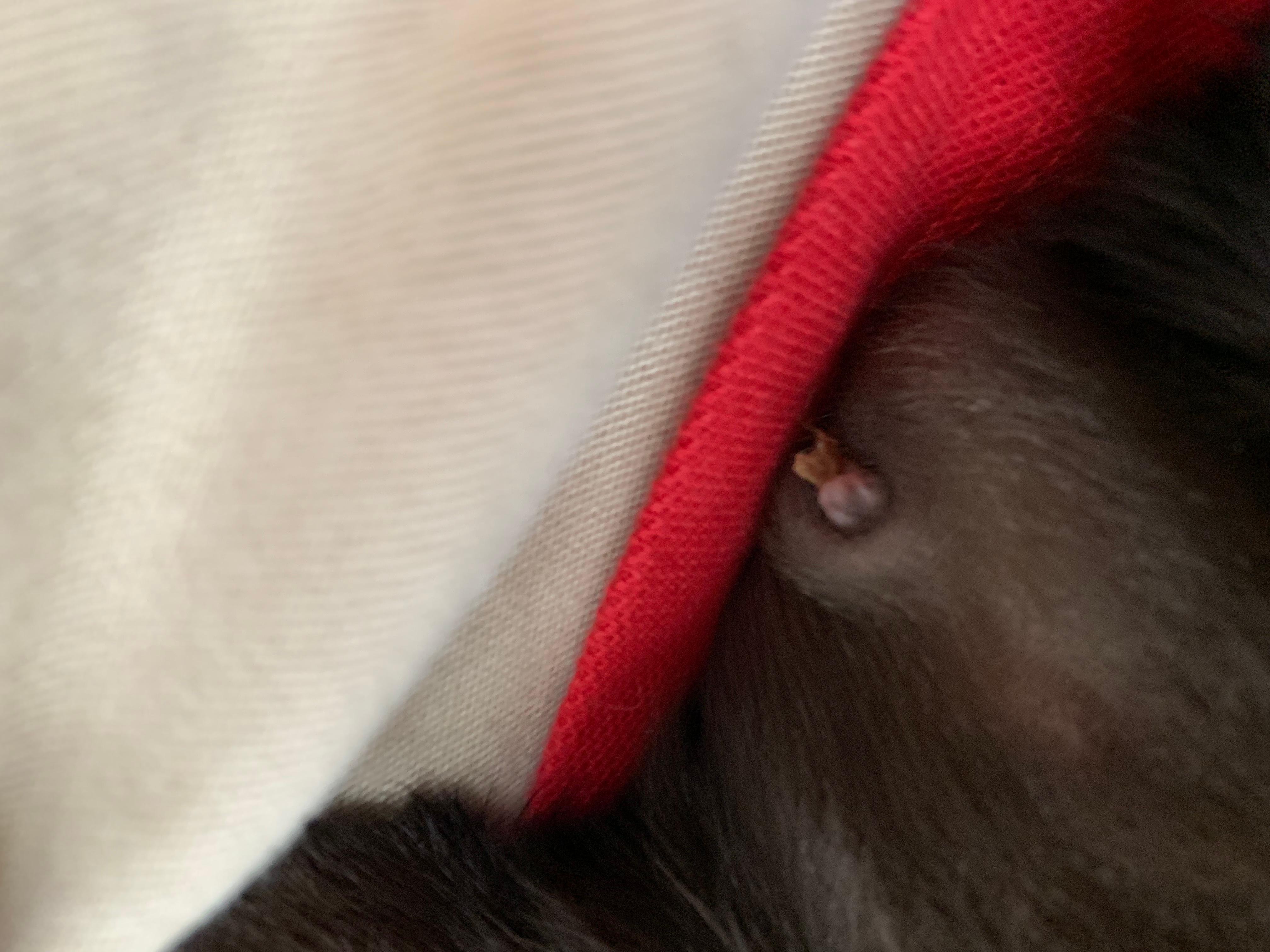 Question details sensitive content