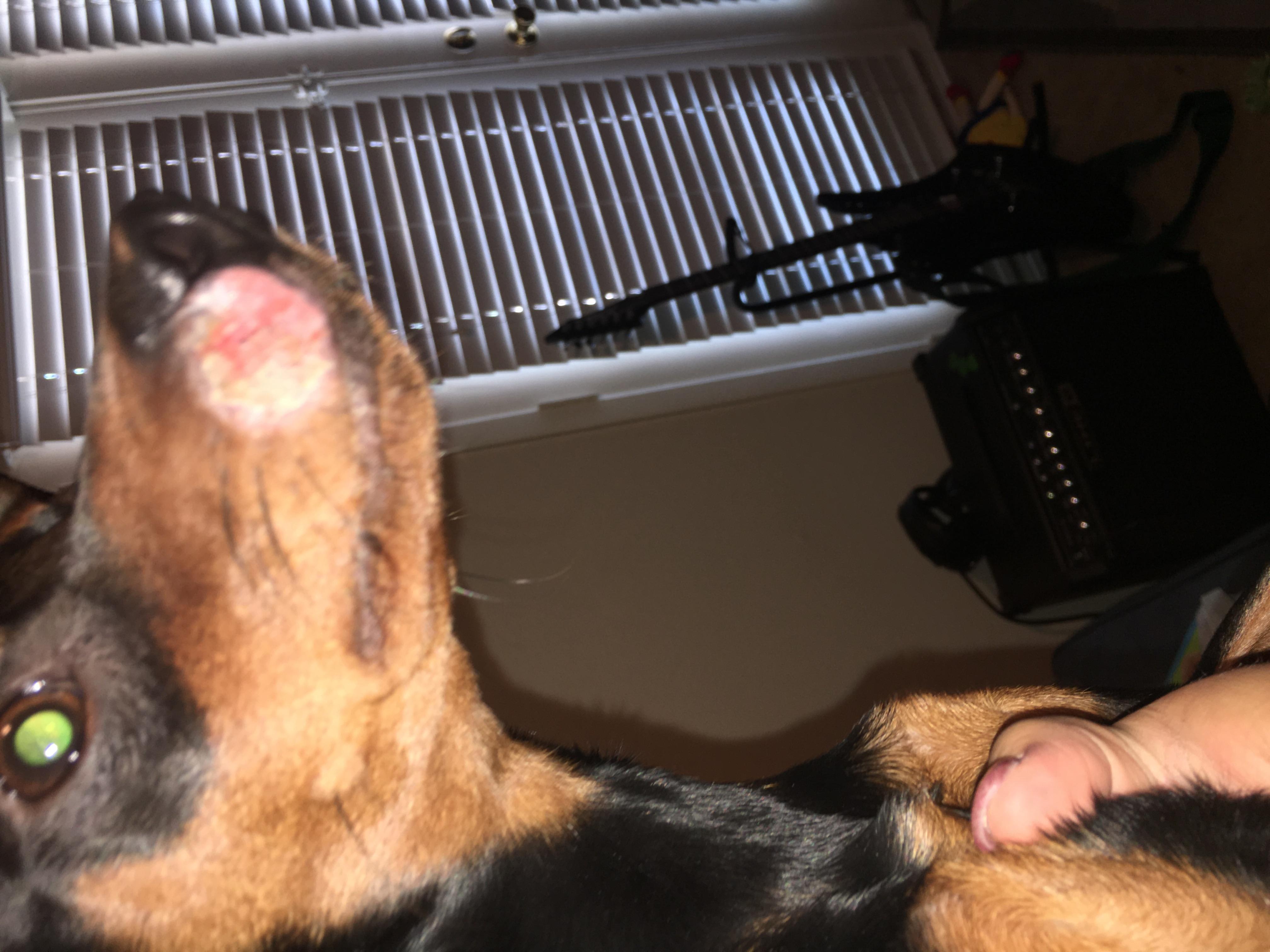 Question details sensitive content