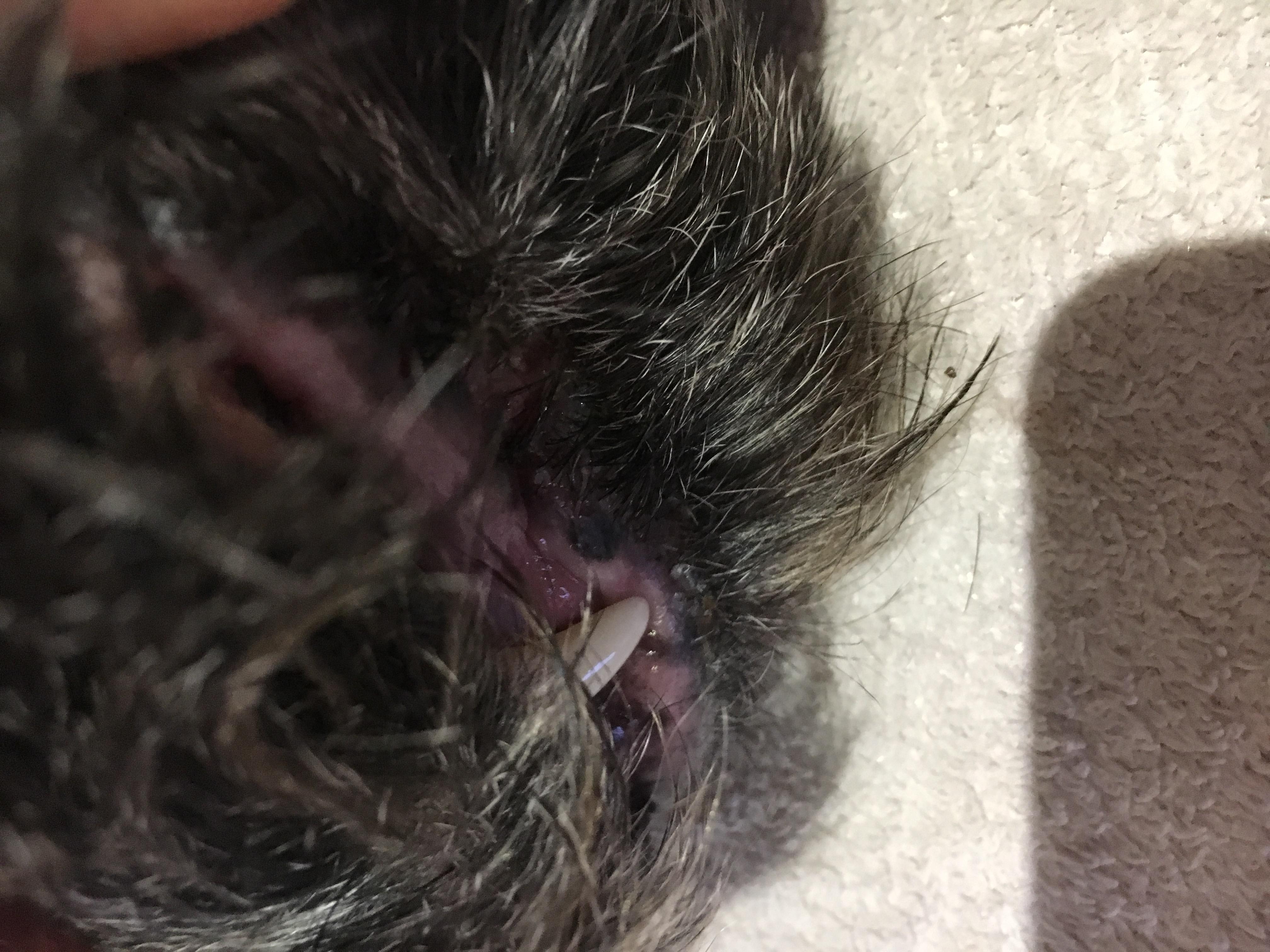 Question details sensitive content