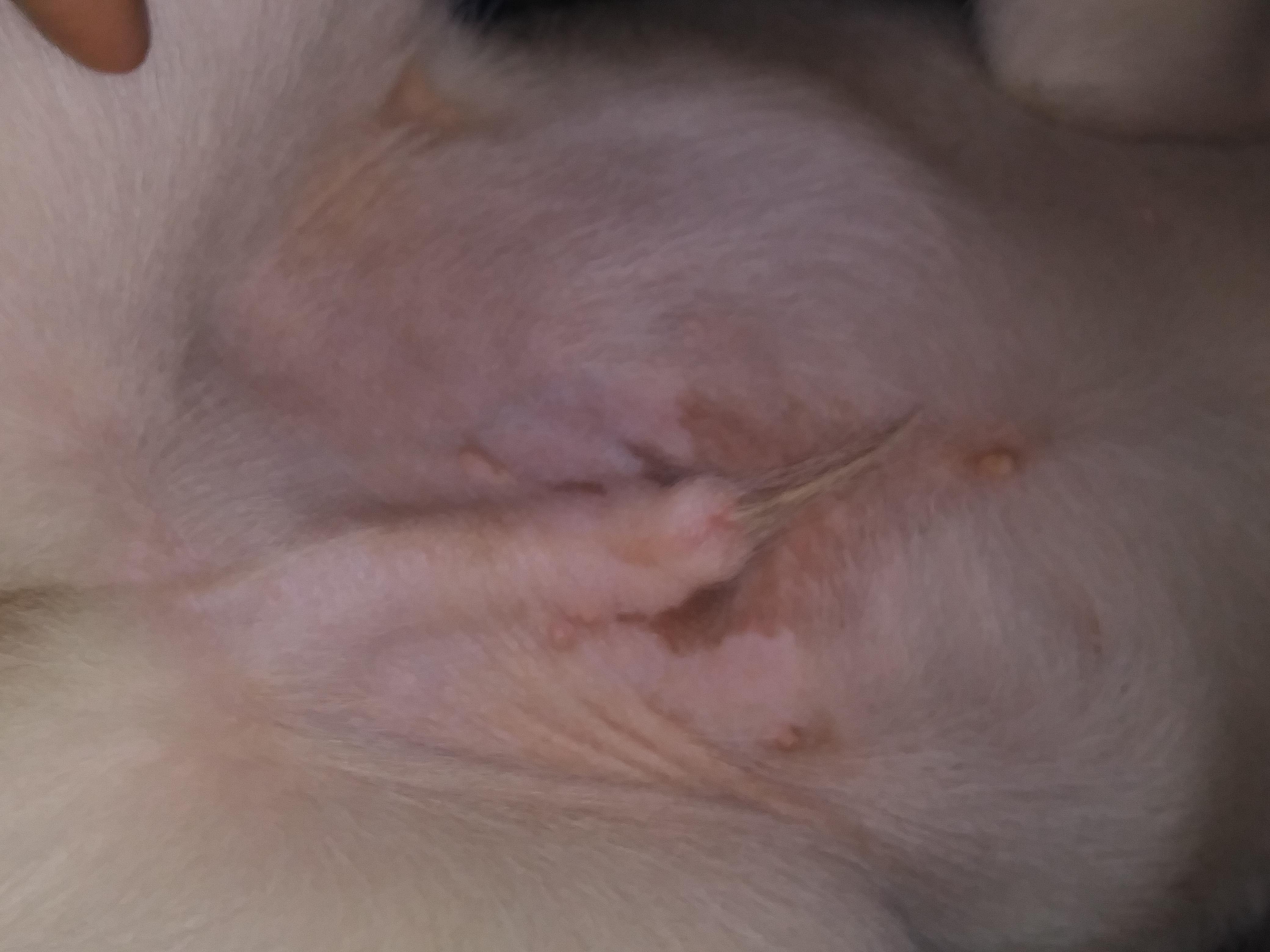 Question details sensitive content