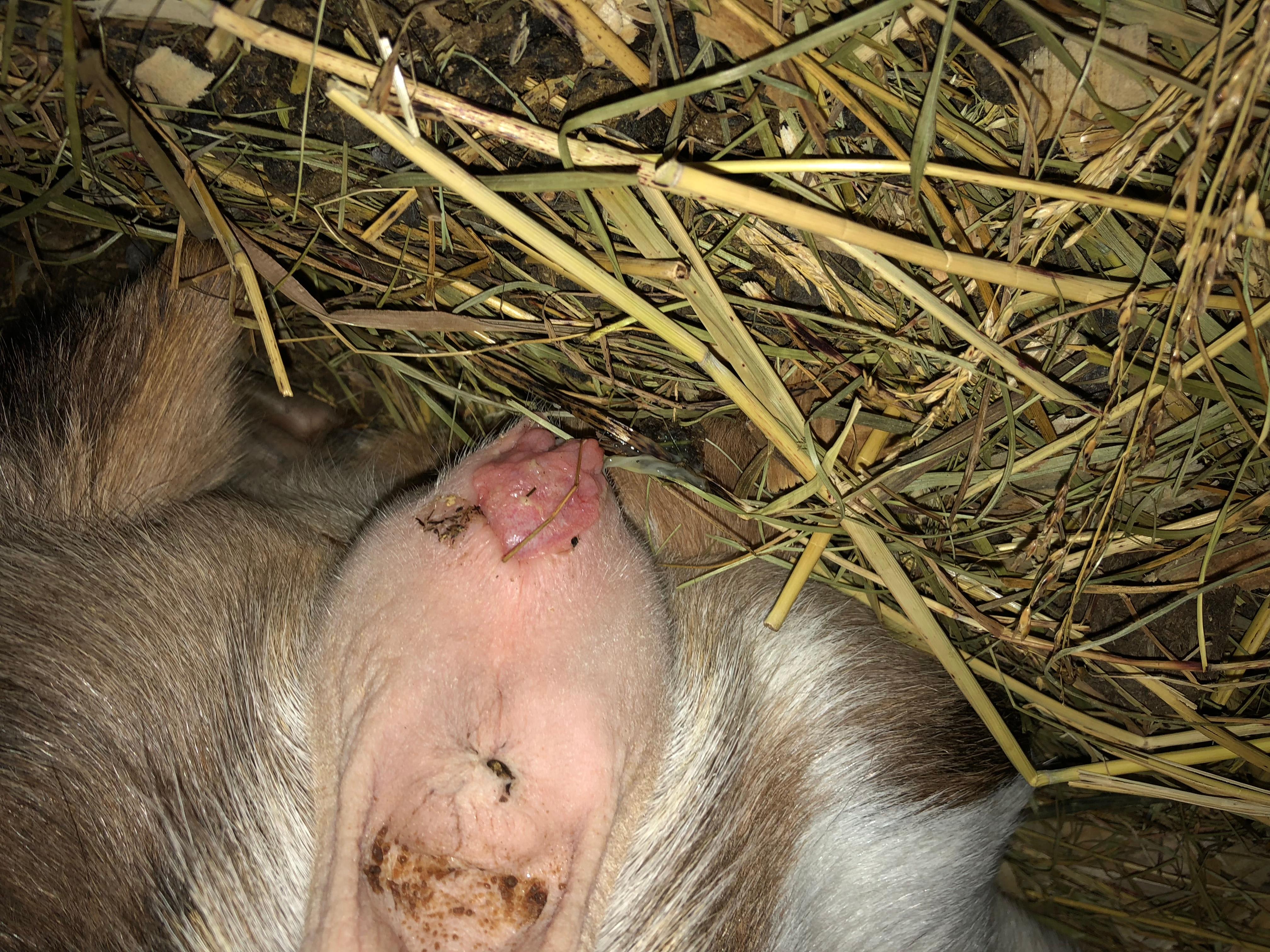 Question details sensitive content