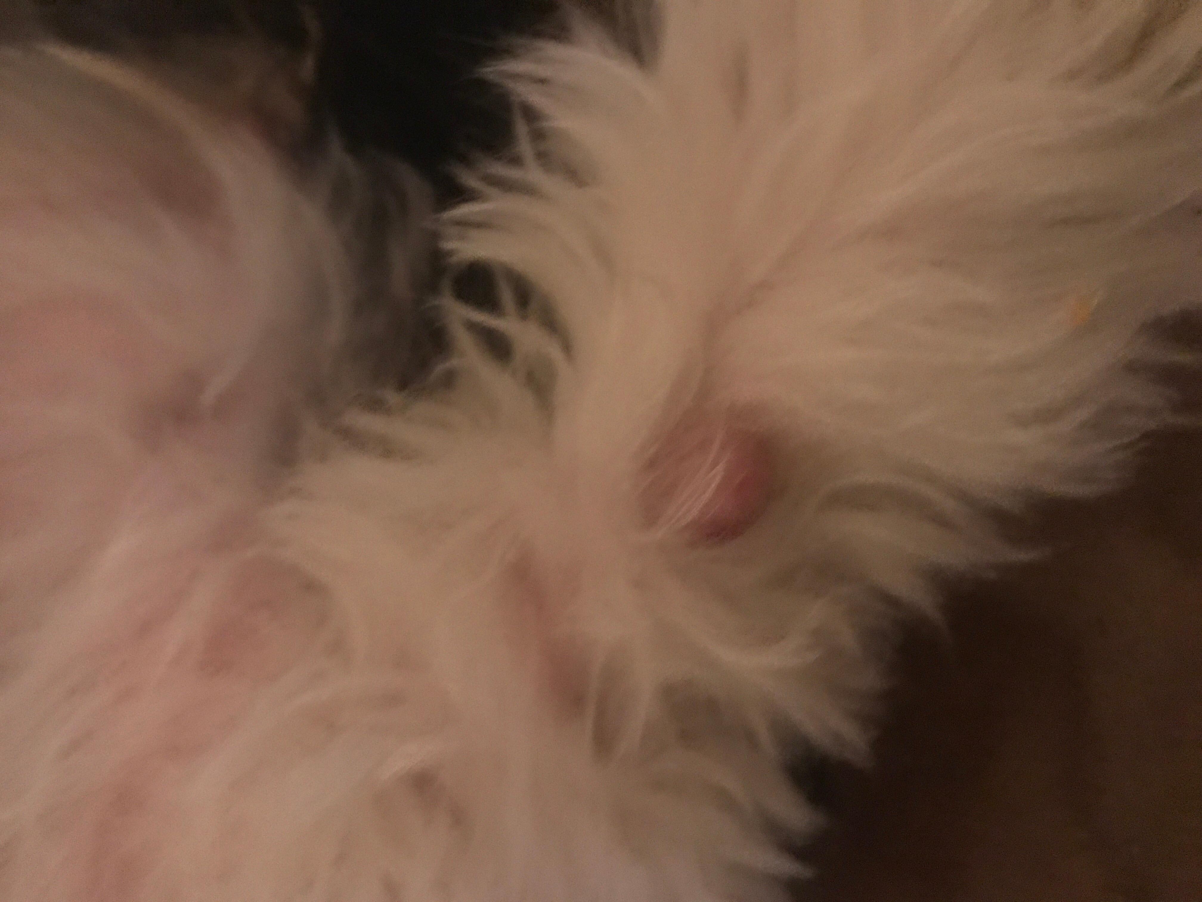 Question details sensitive content