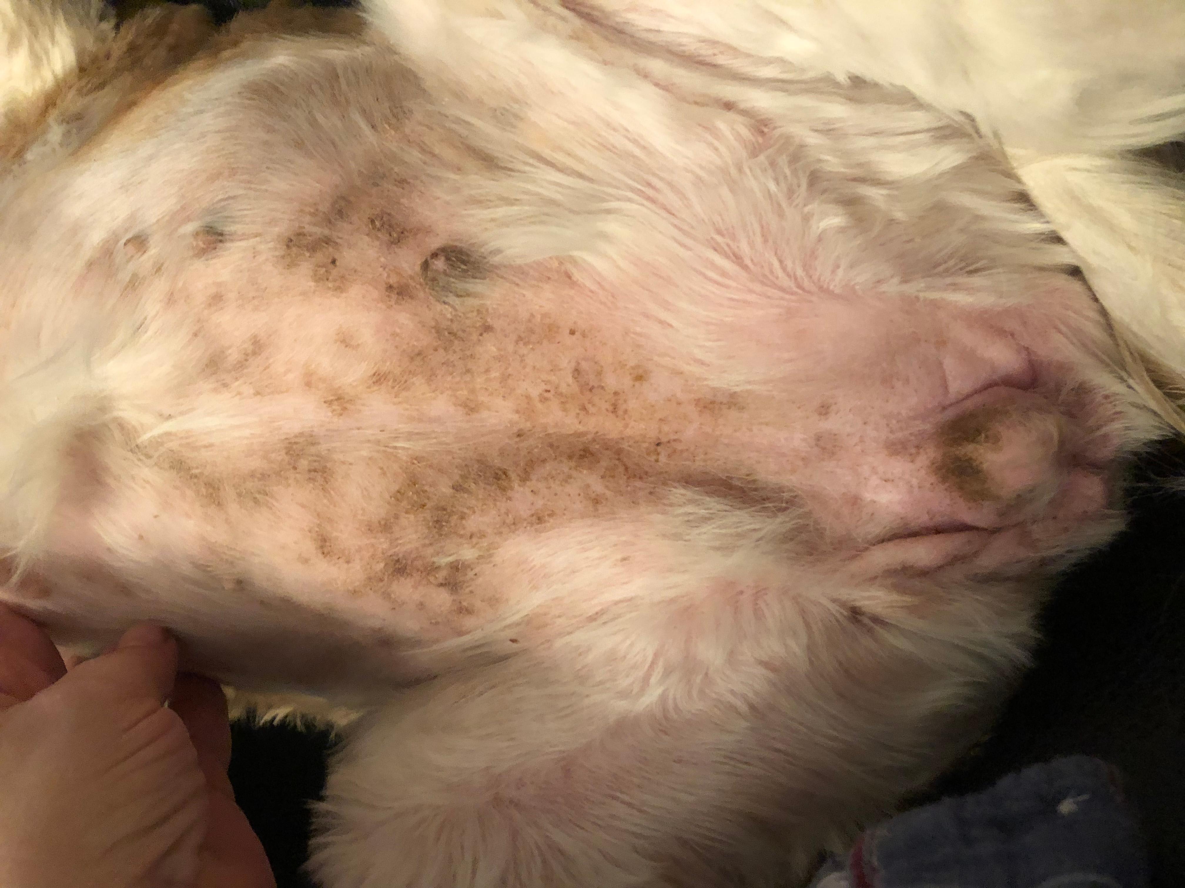 Question details sensitive content