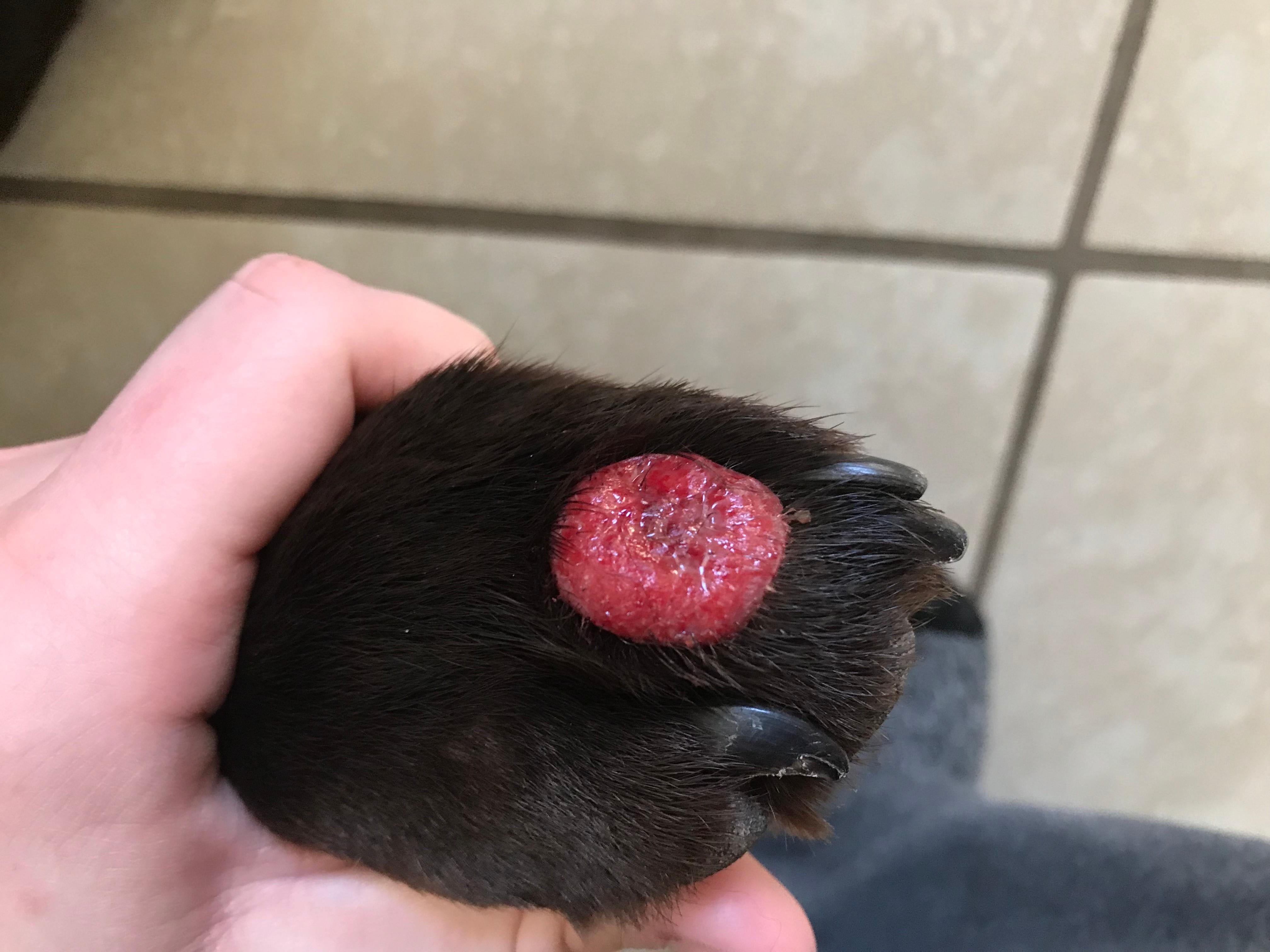 Question details sensitive content