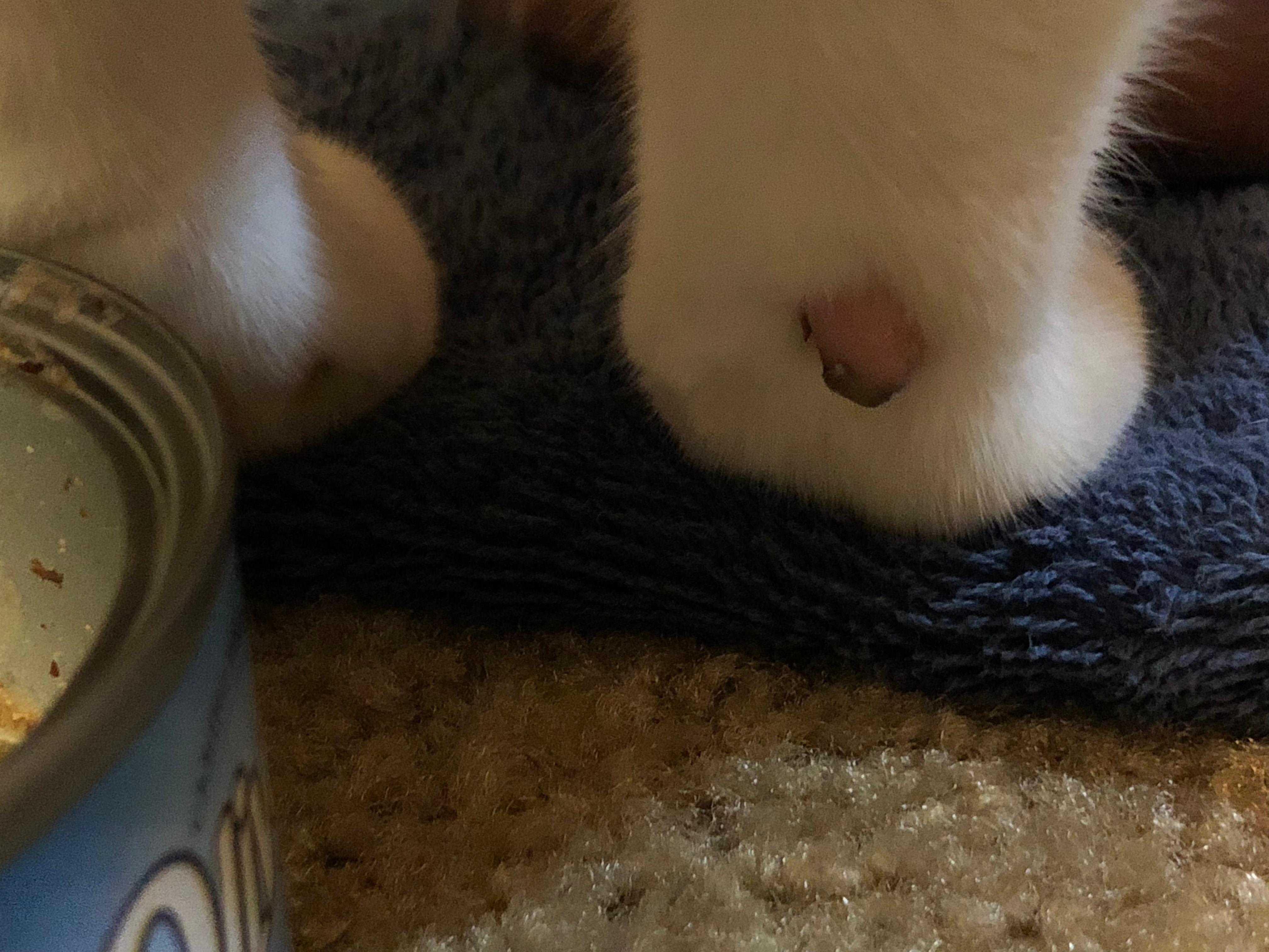 Question details sensitive content