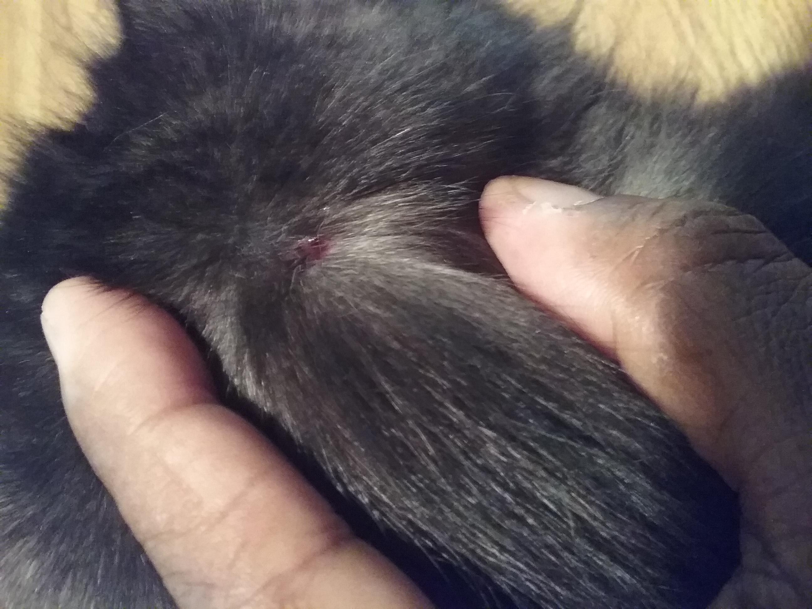 Question details sensitive content