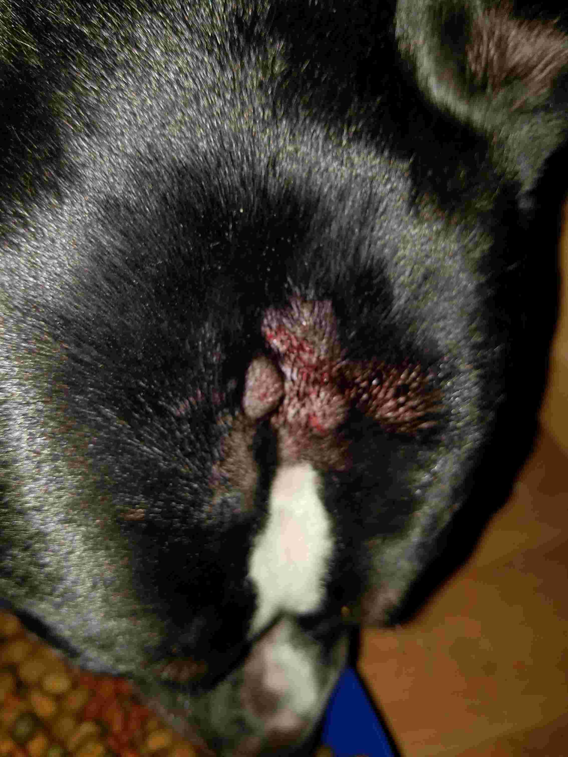 Question details sensitive content