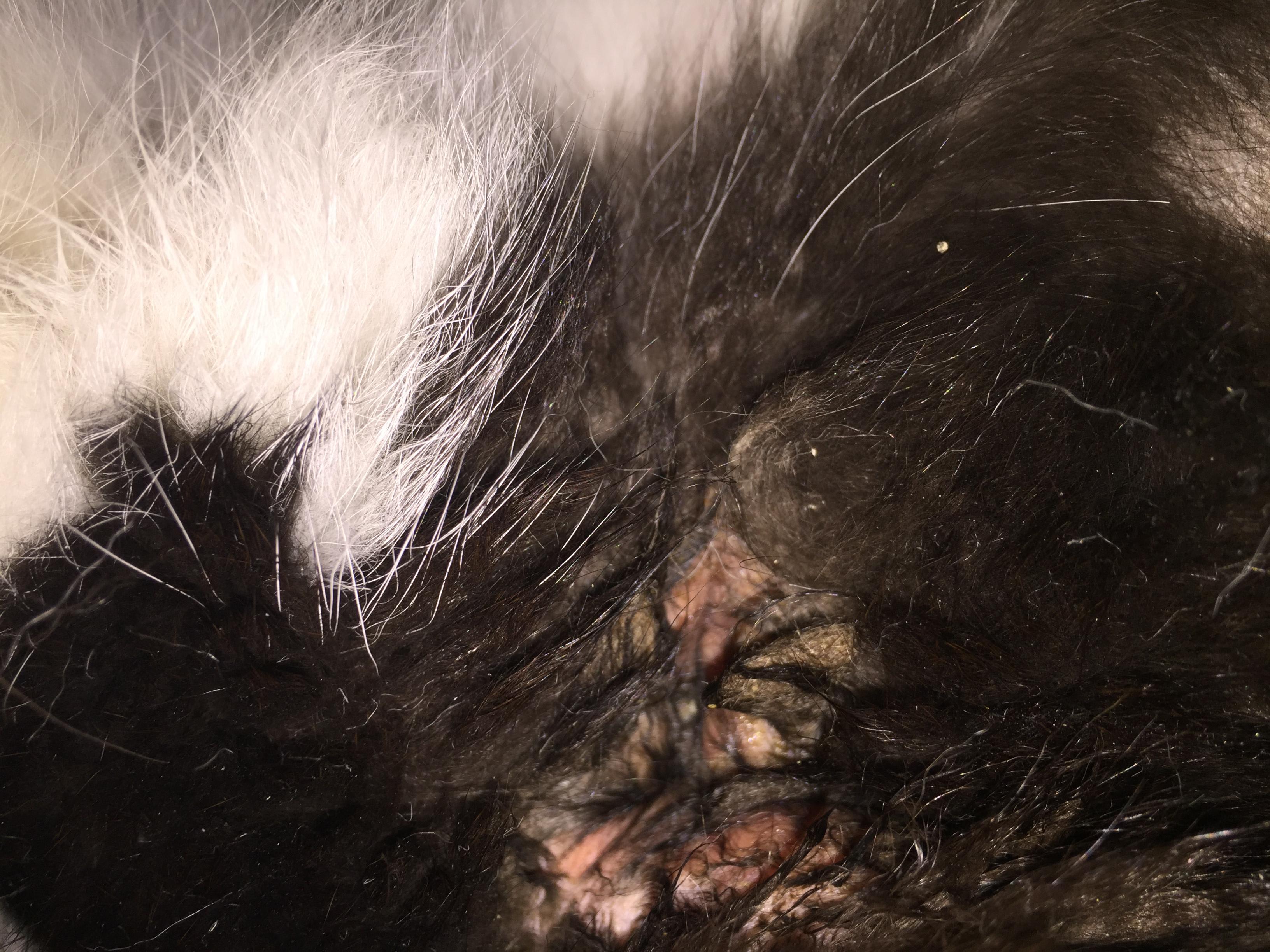 Question details sensitive content