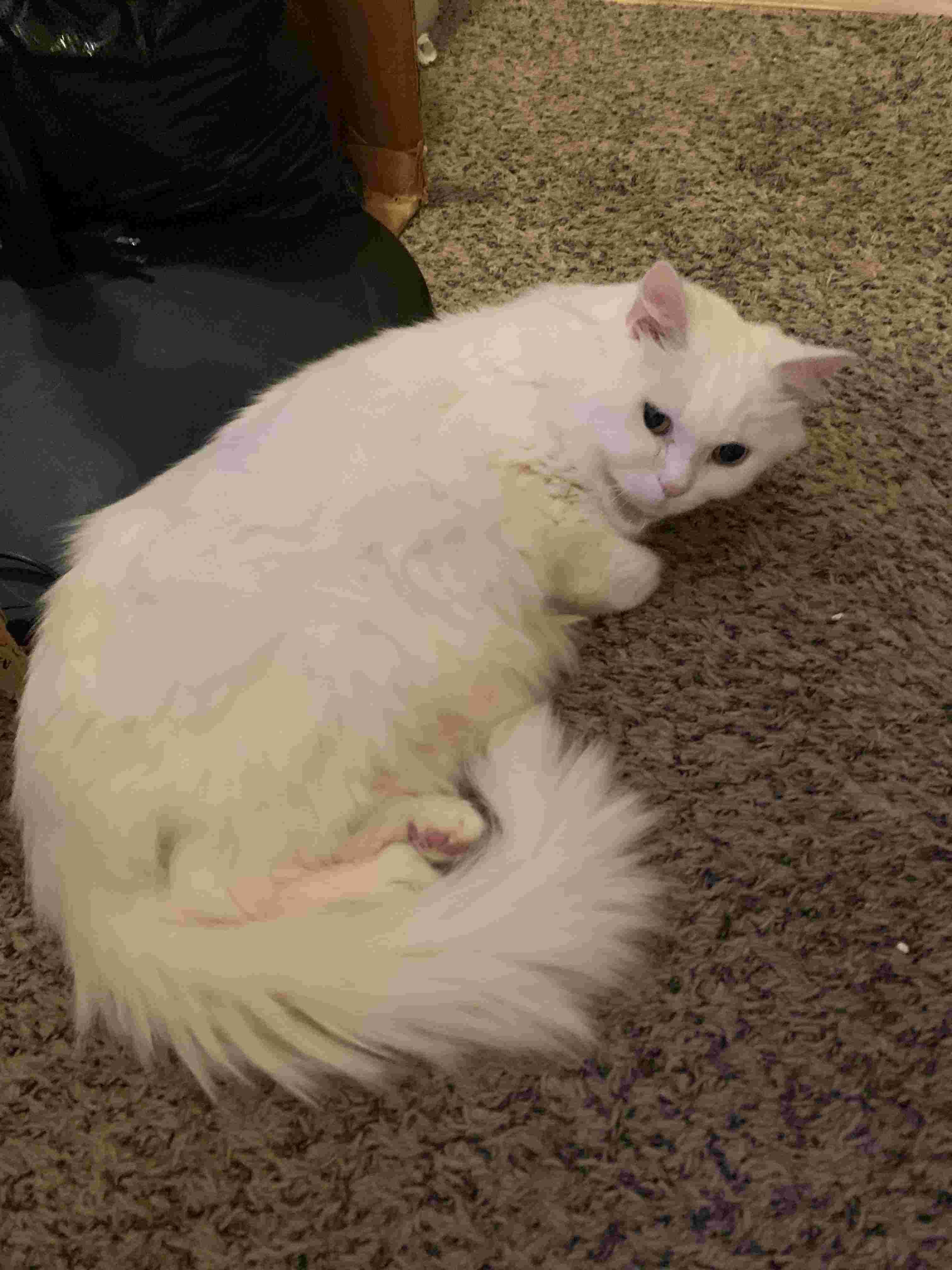 Question details sensitive content