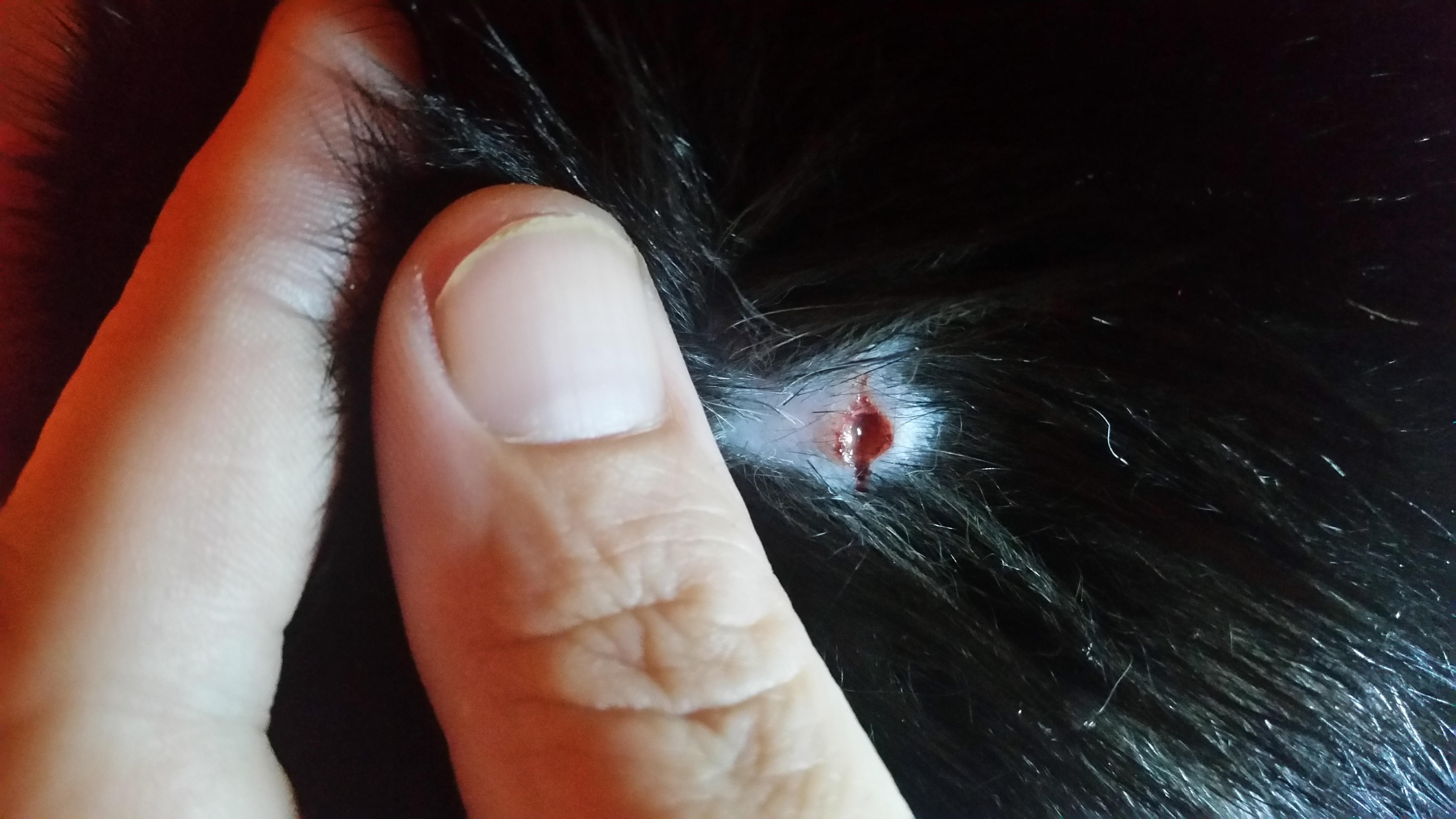 Question details sensitive content