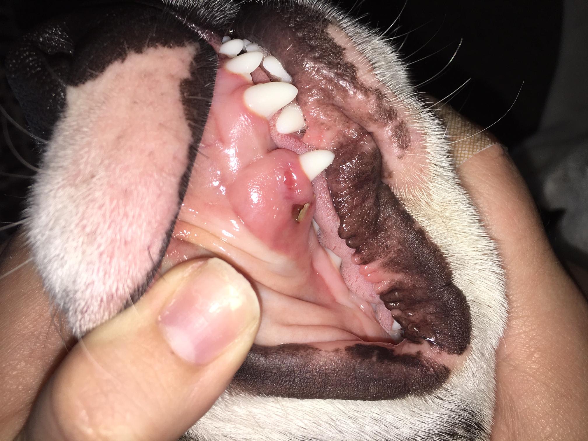 Question details sensitive content