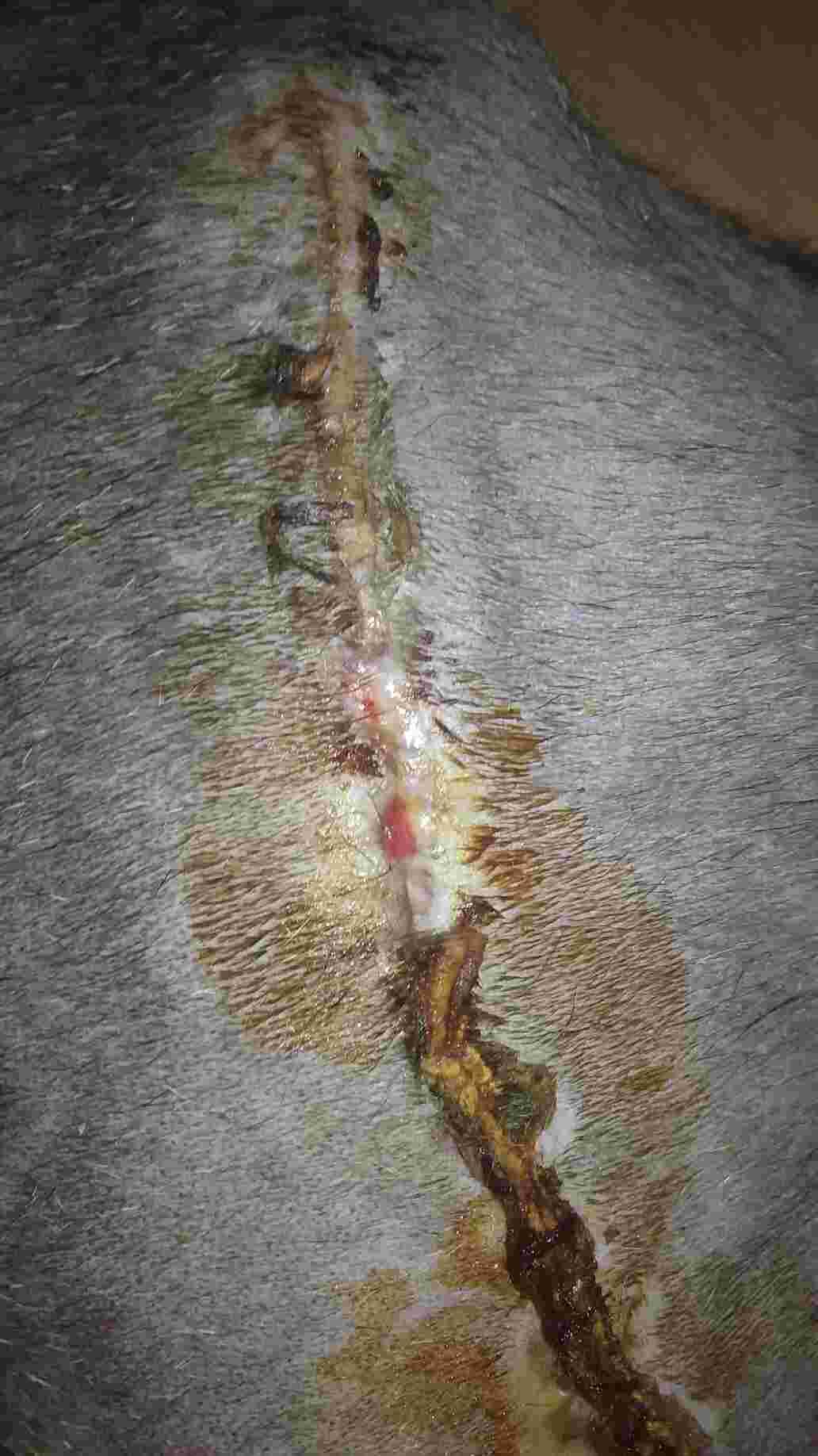 Question details sensitive content