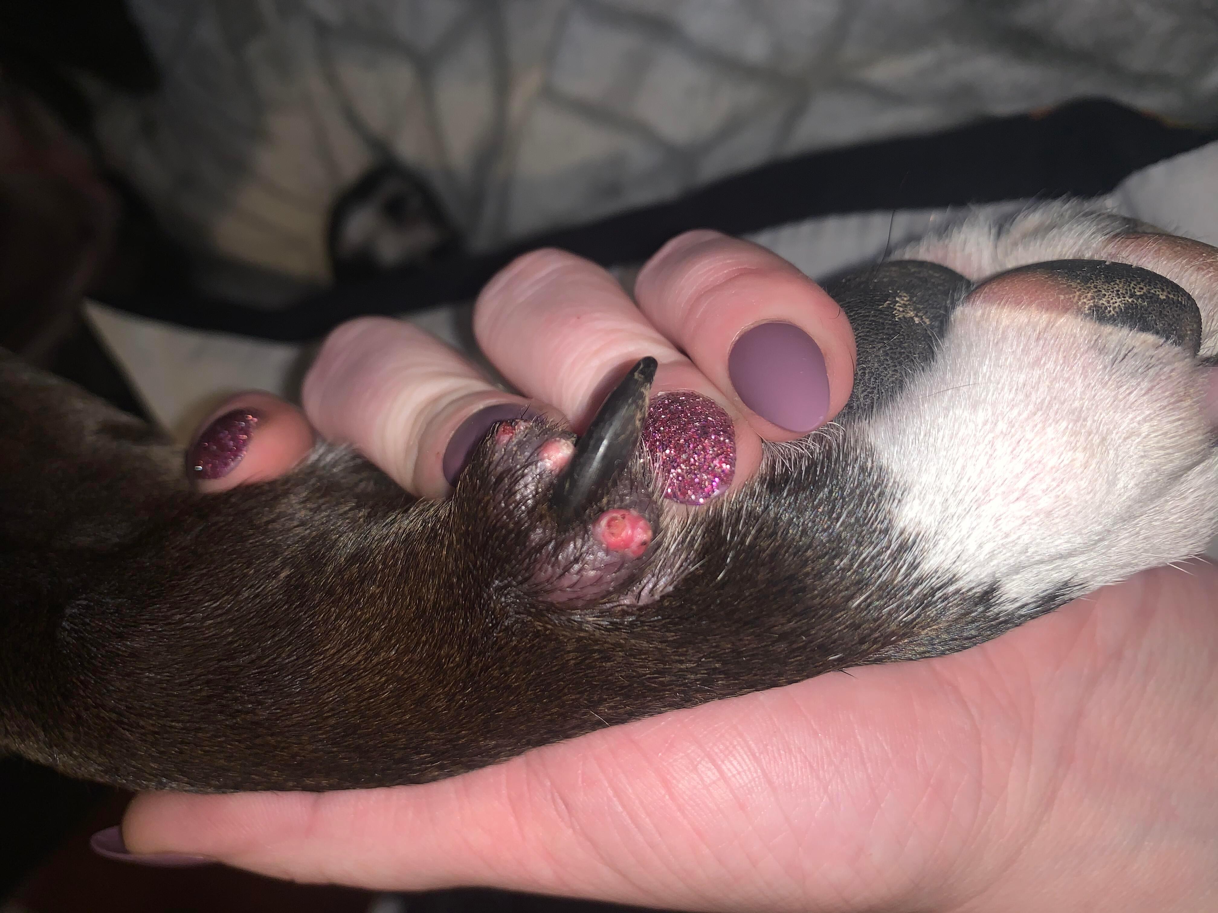 Question details sensitive content