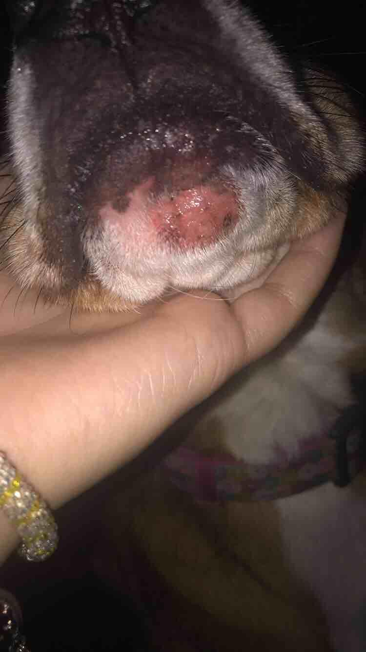 Question details sensitive content