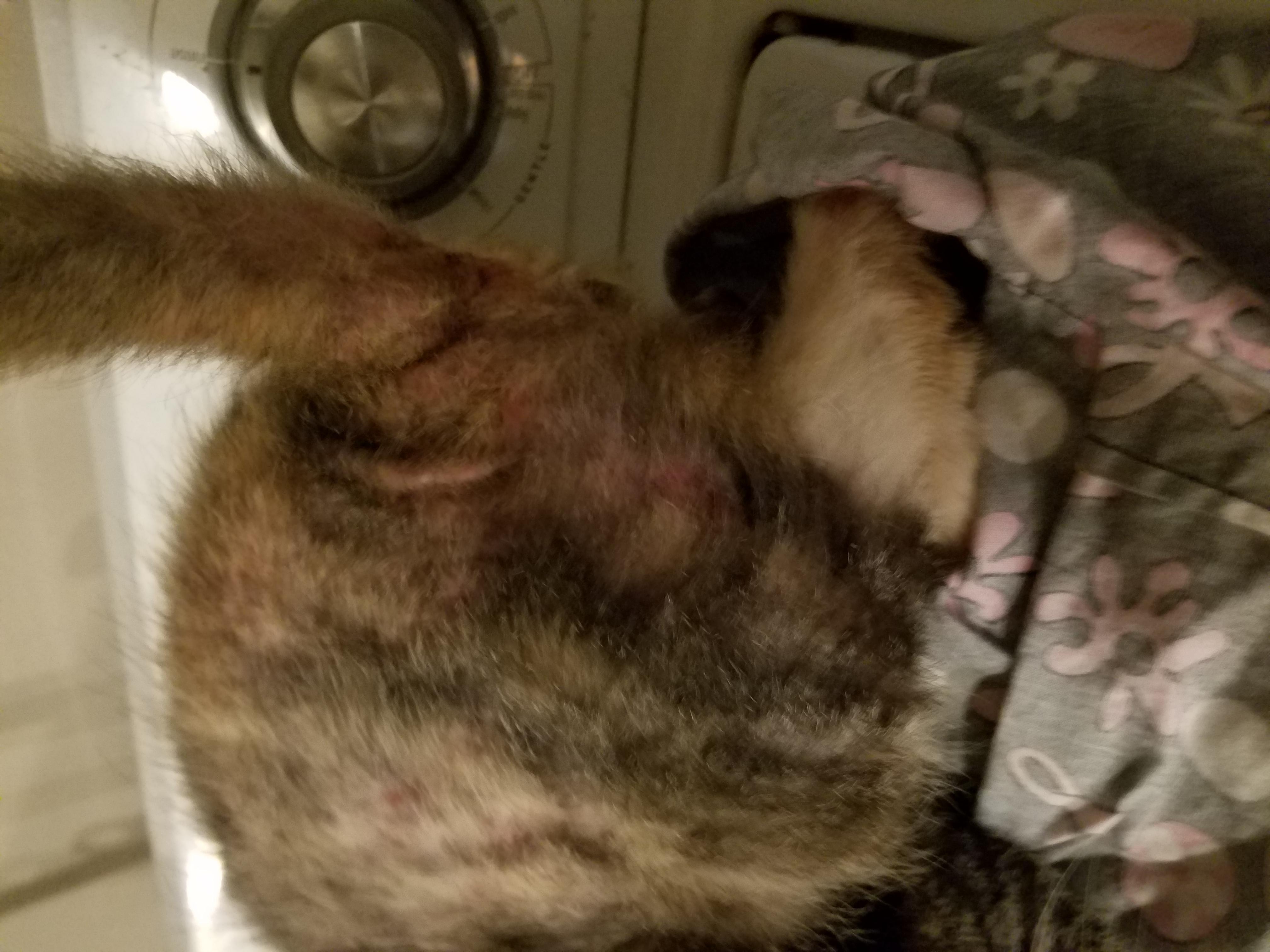 Question details sensitive content