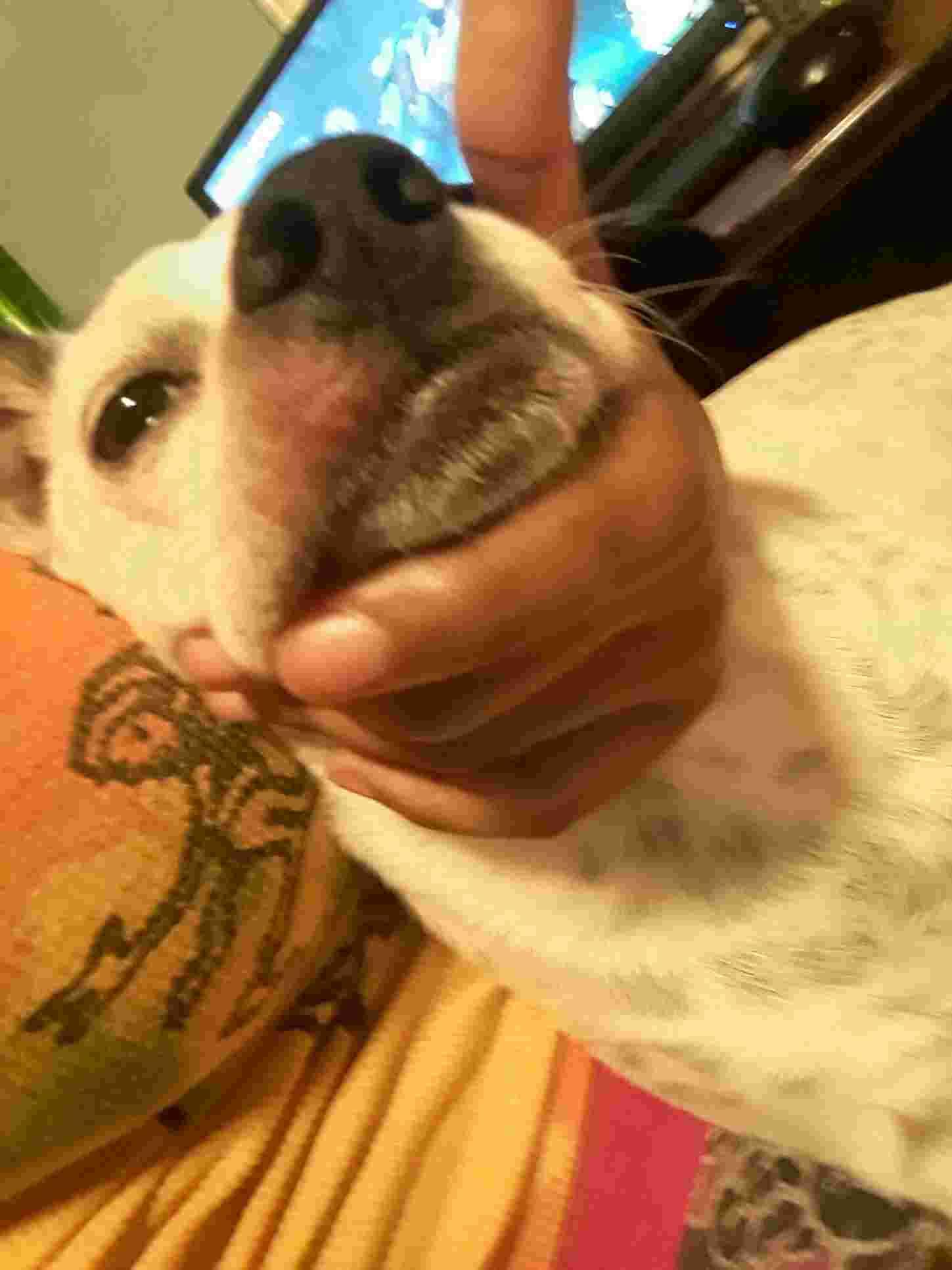 Question details sensitive content