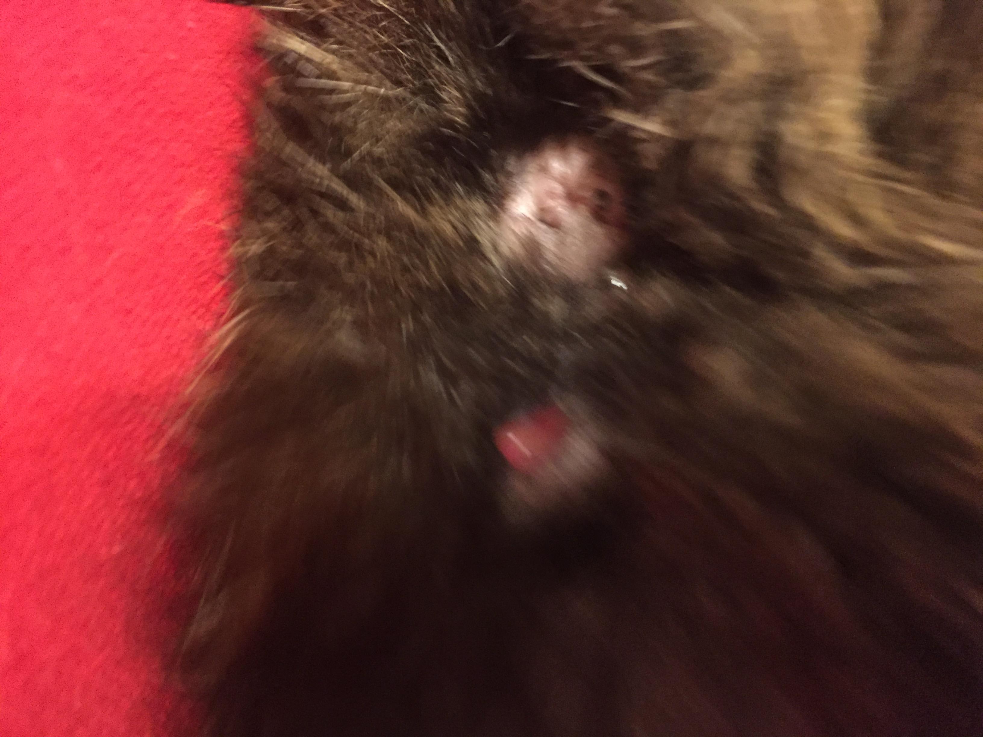 Question details sensitive content