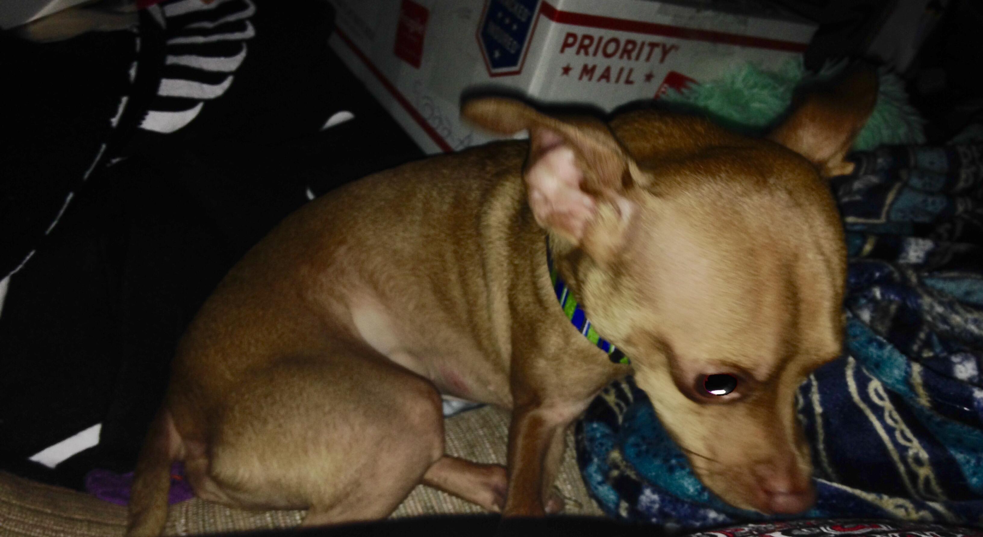 Question details sensitive content