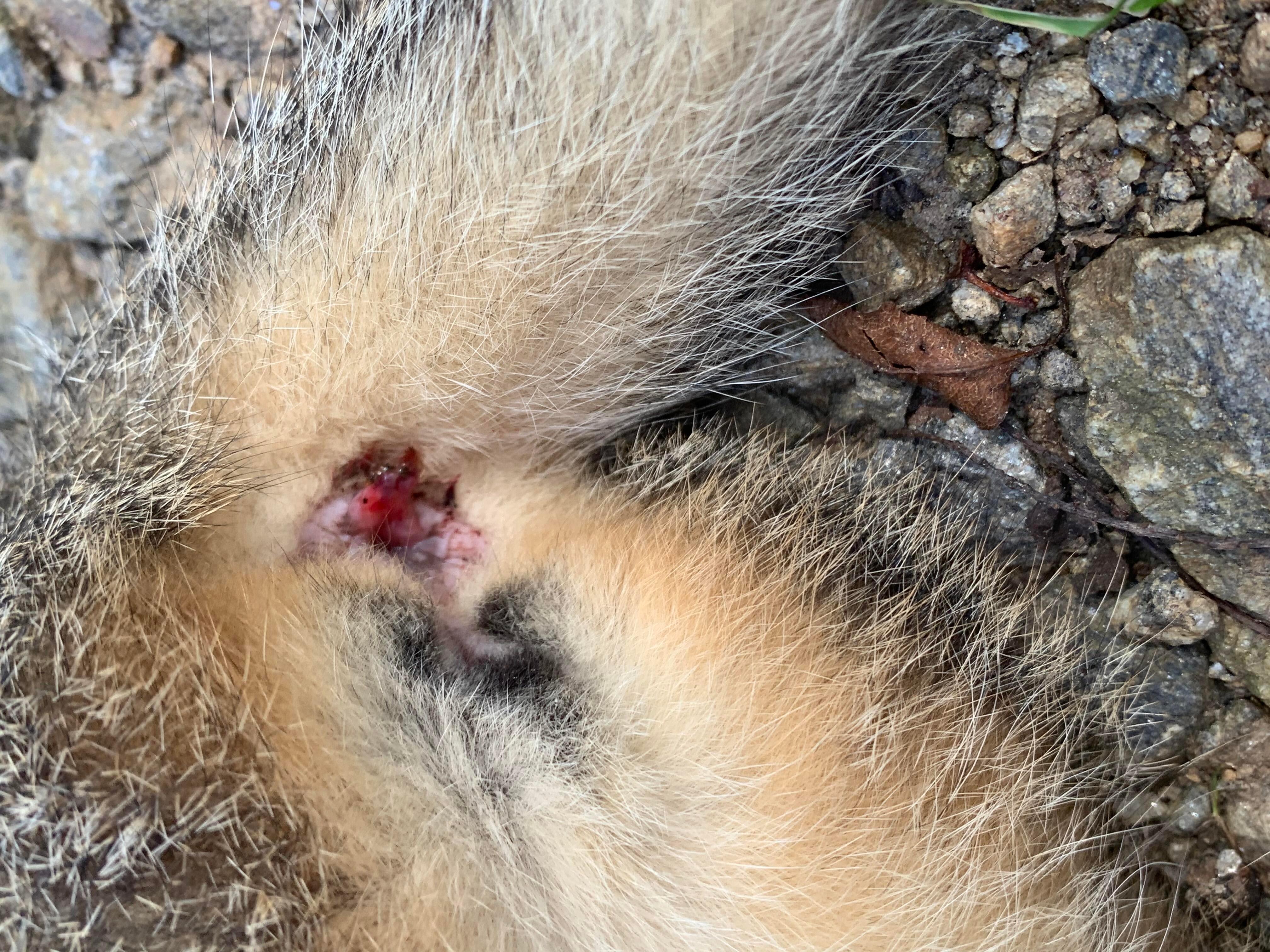 Question details sensitive content