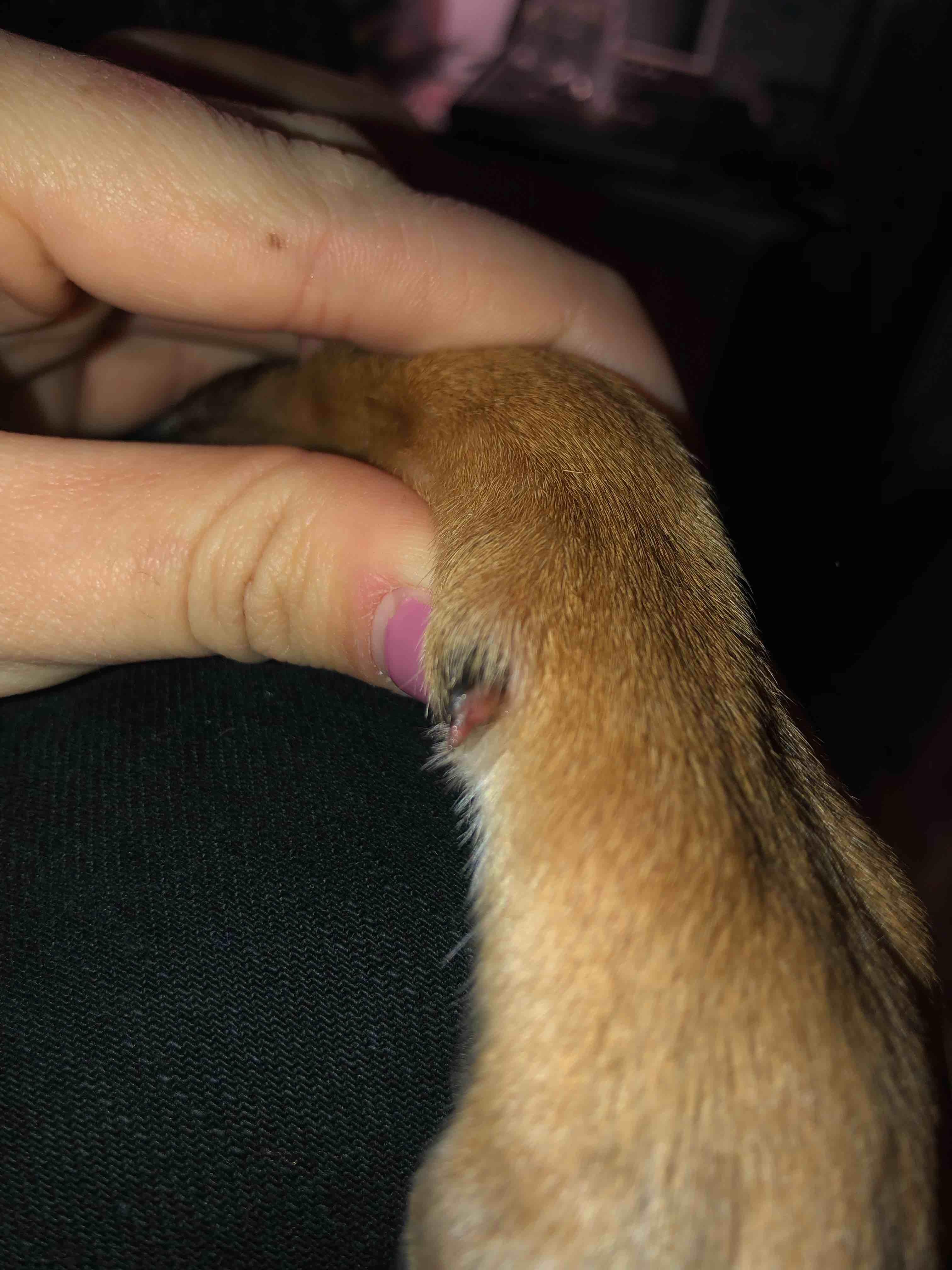 Question details sensitive content