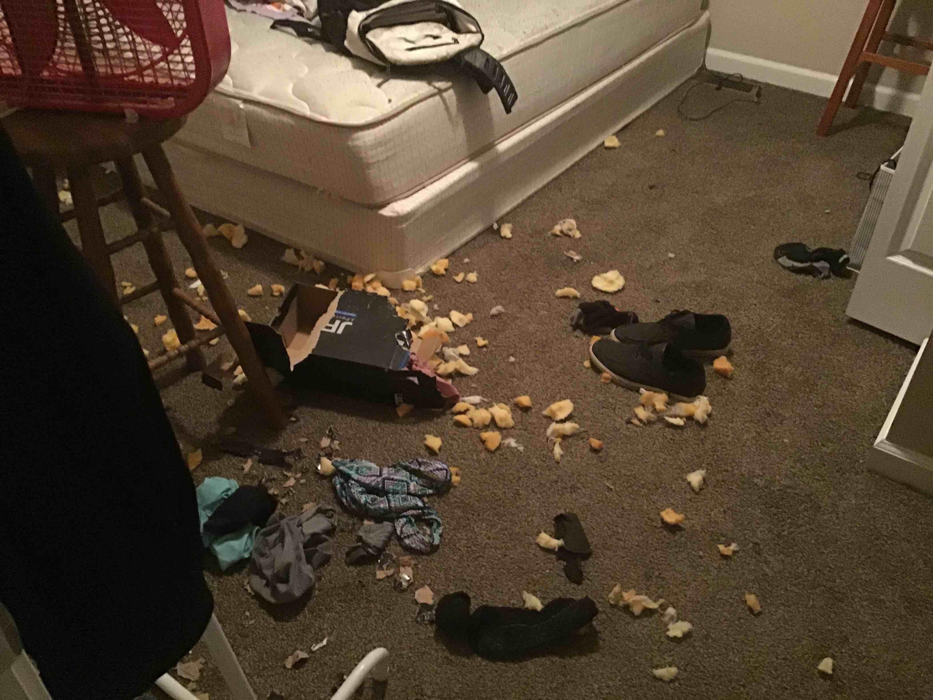 Question details sensitive content