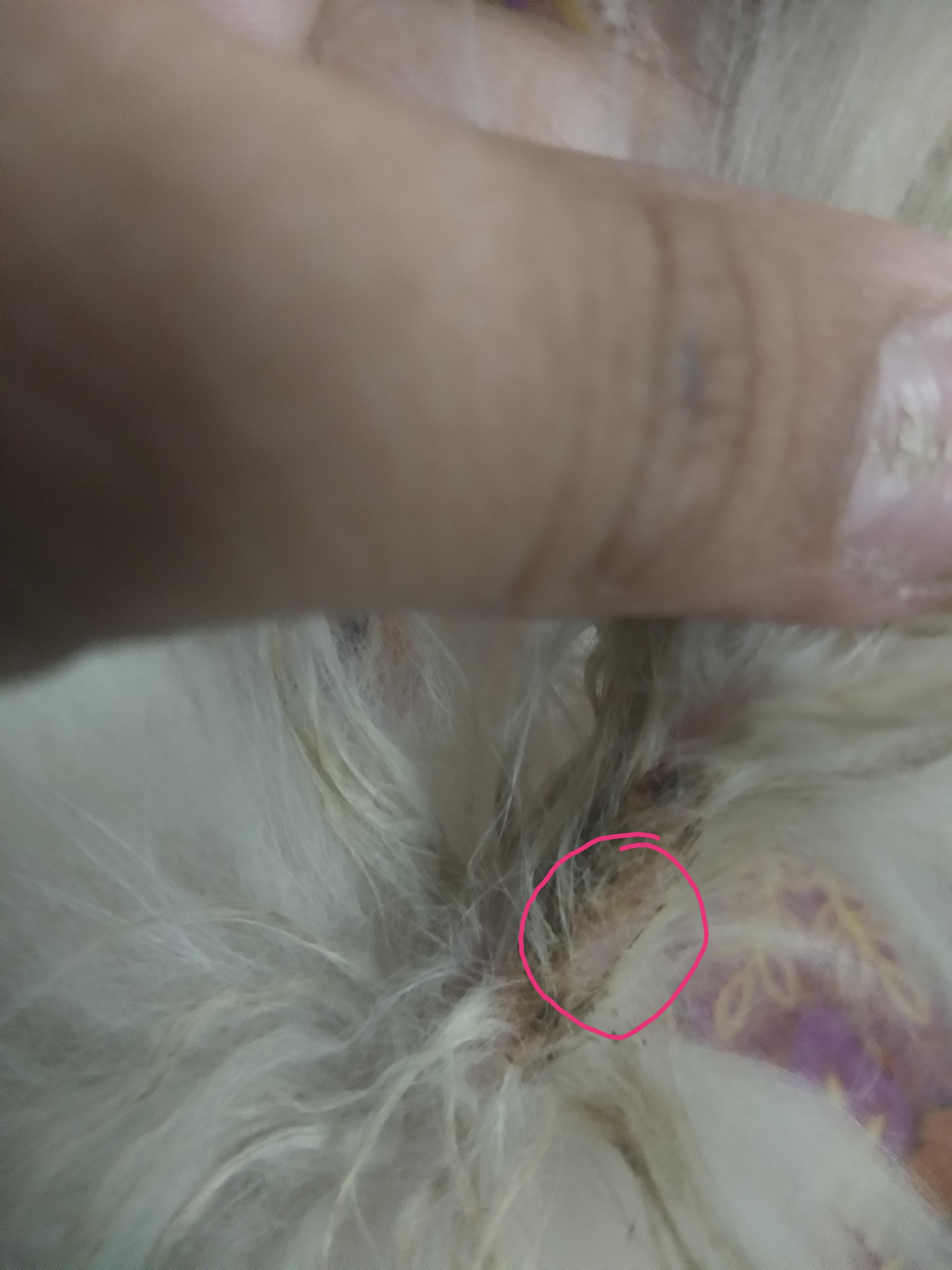 Question details sensitive content