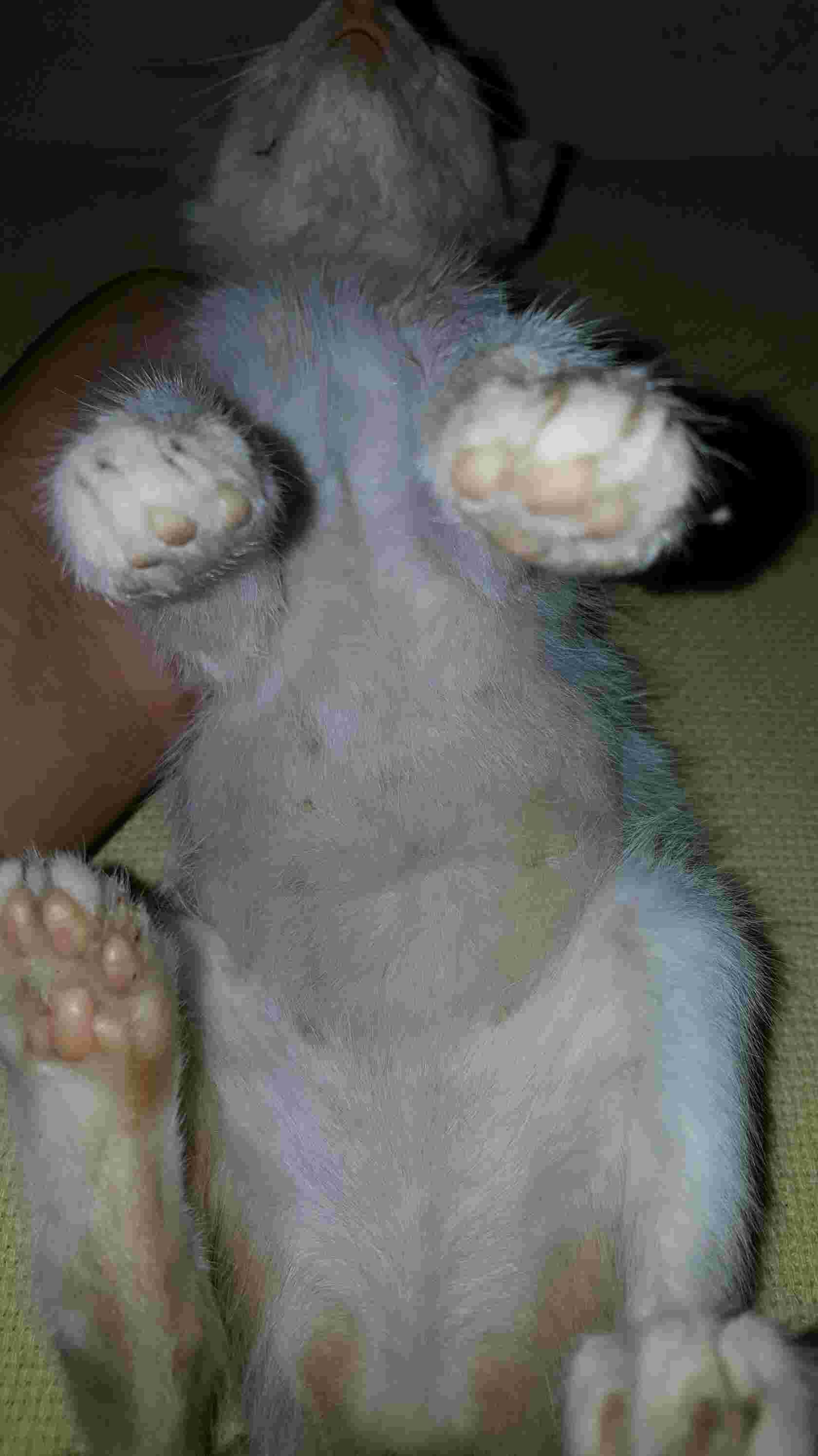 Question details sensitive content