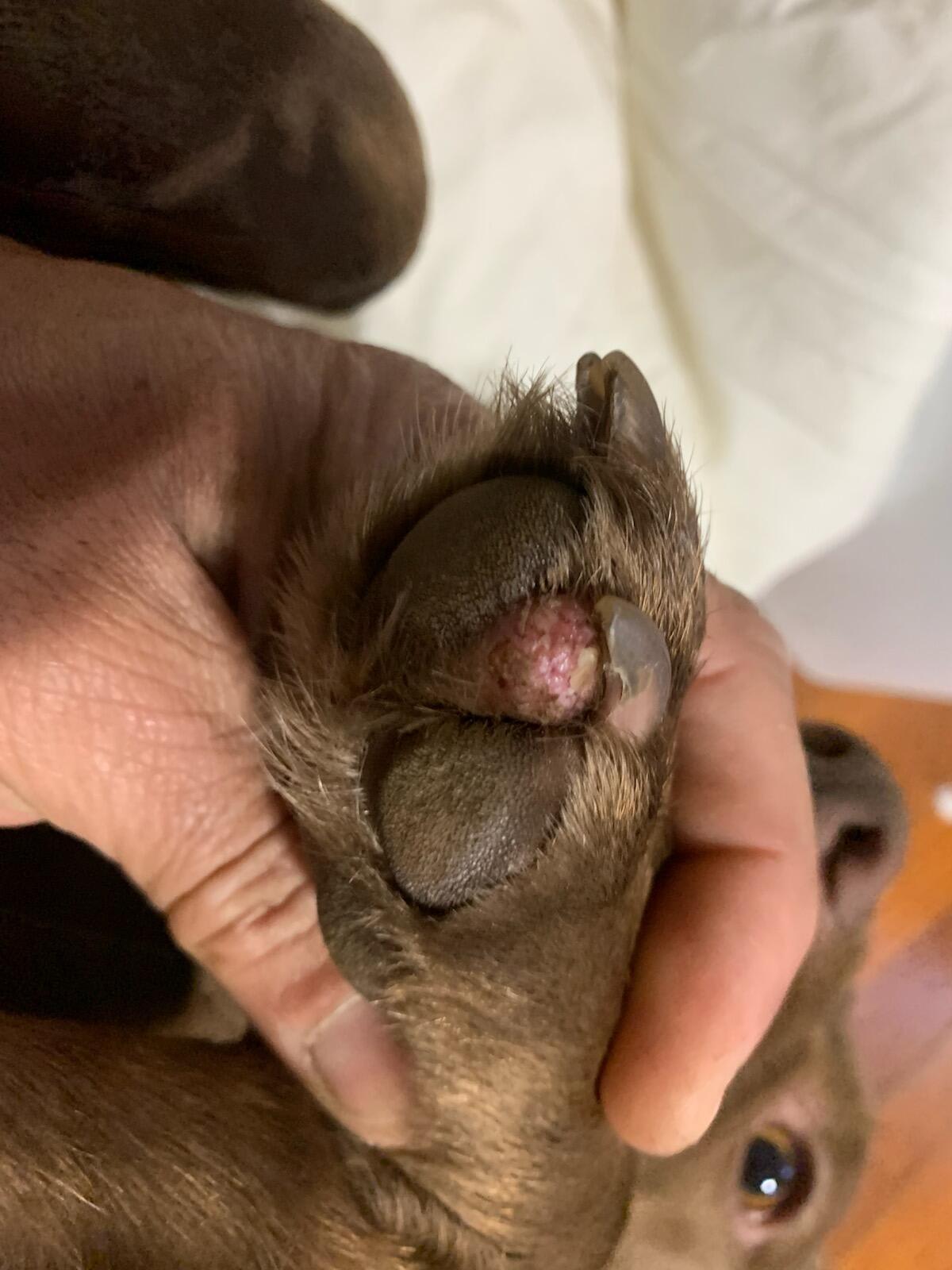 Question details sensitive content