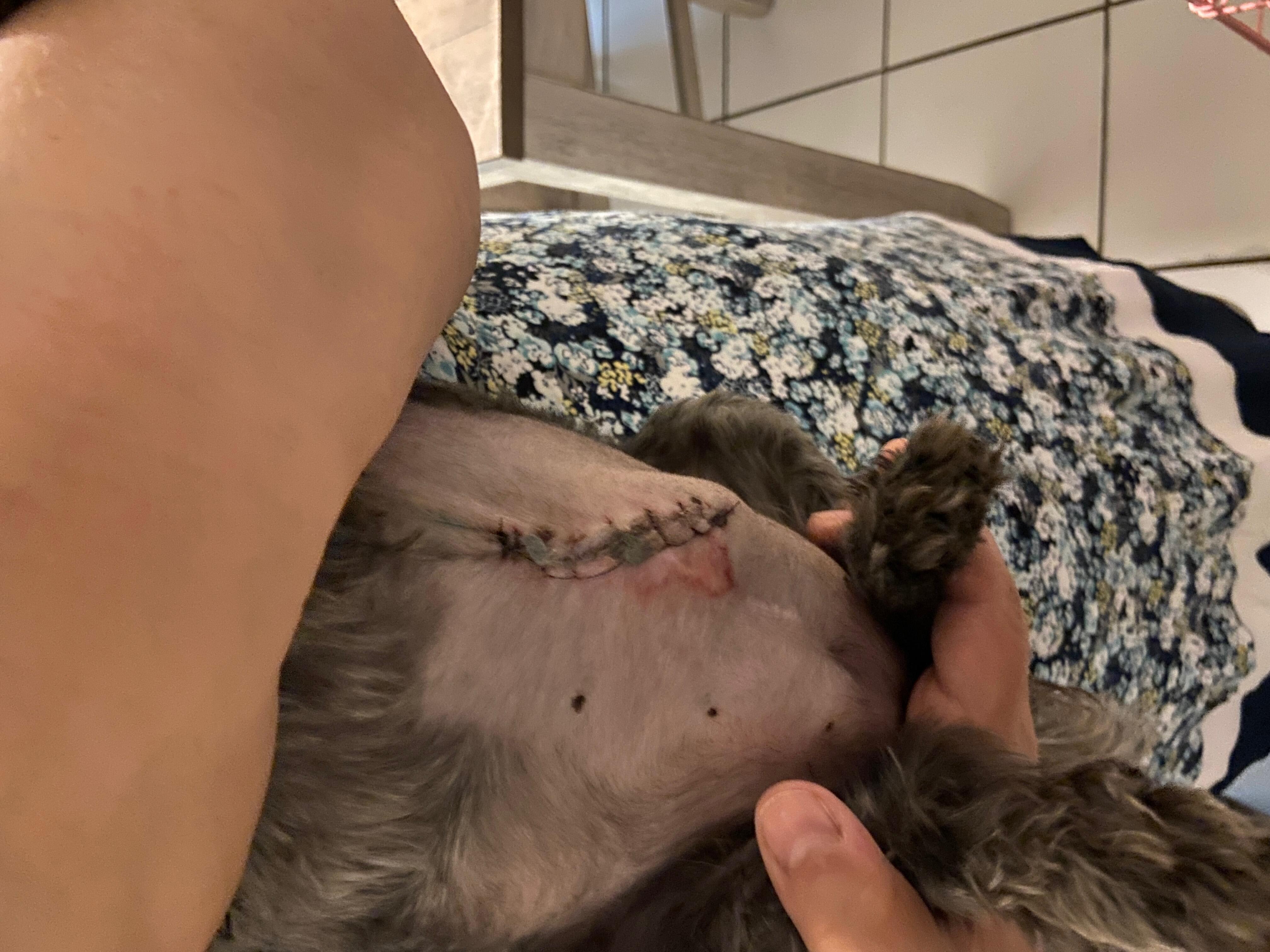 Question details sensitive content