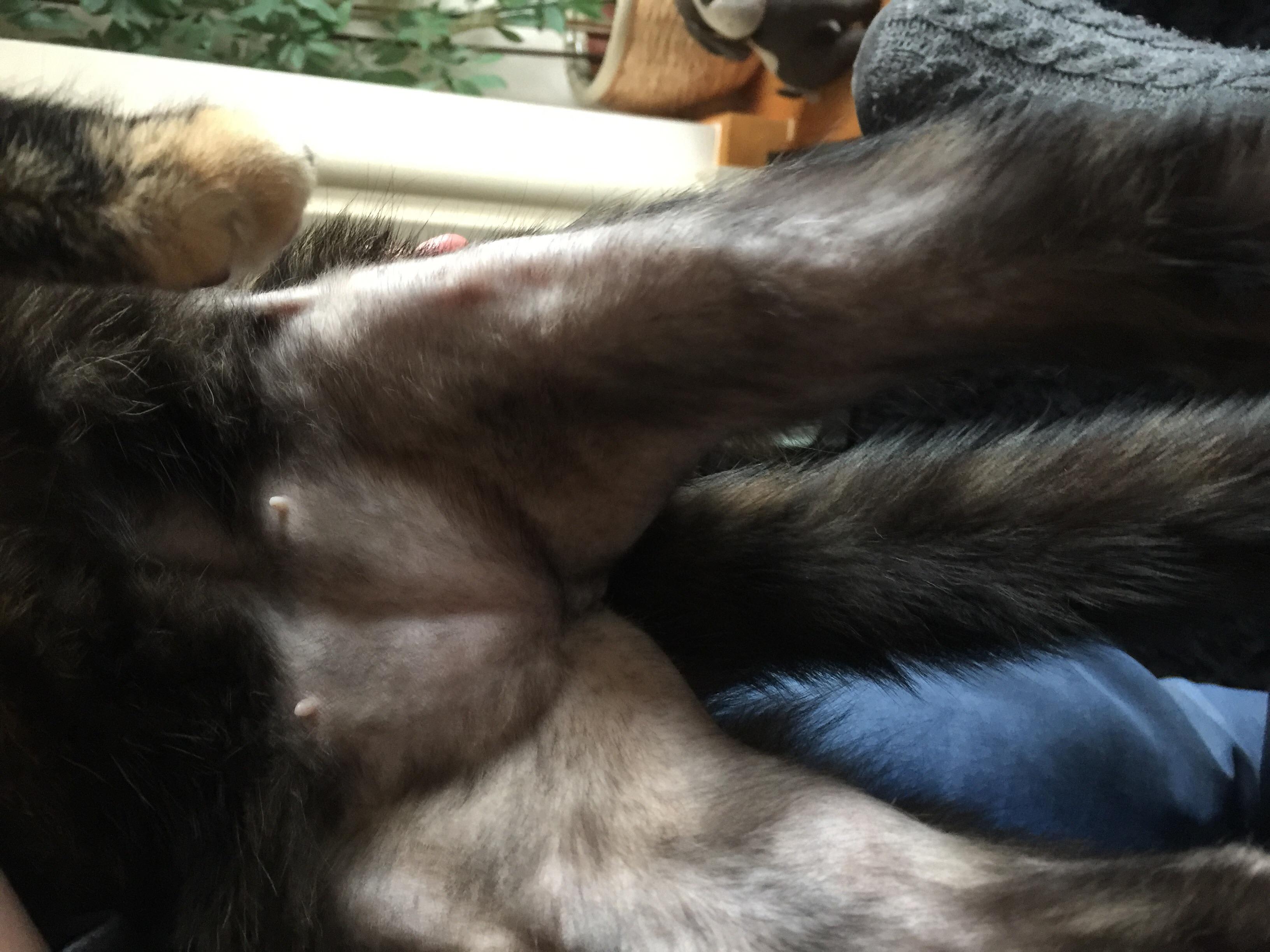 Question details sensitive content