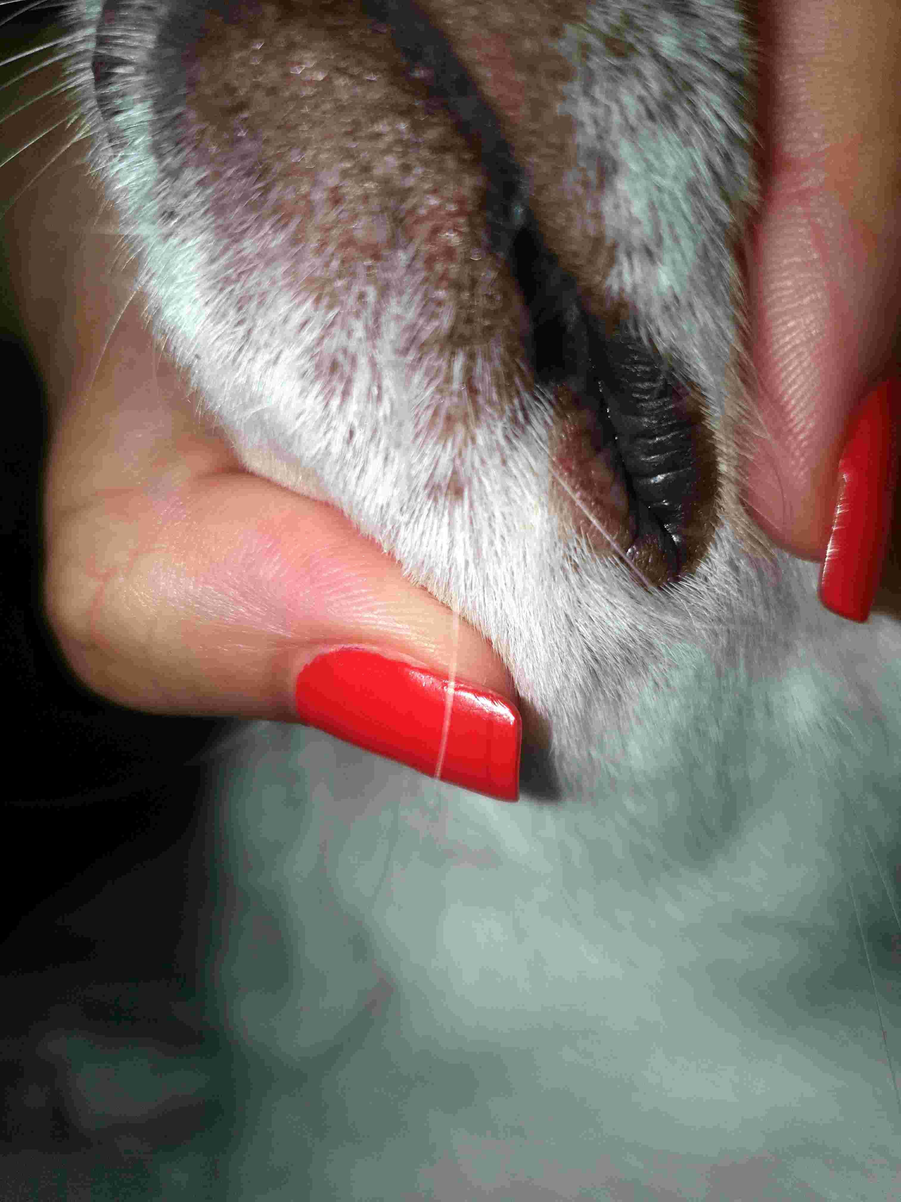 Question details sensitive content