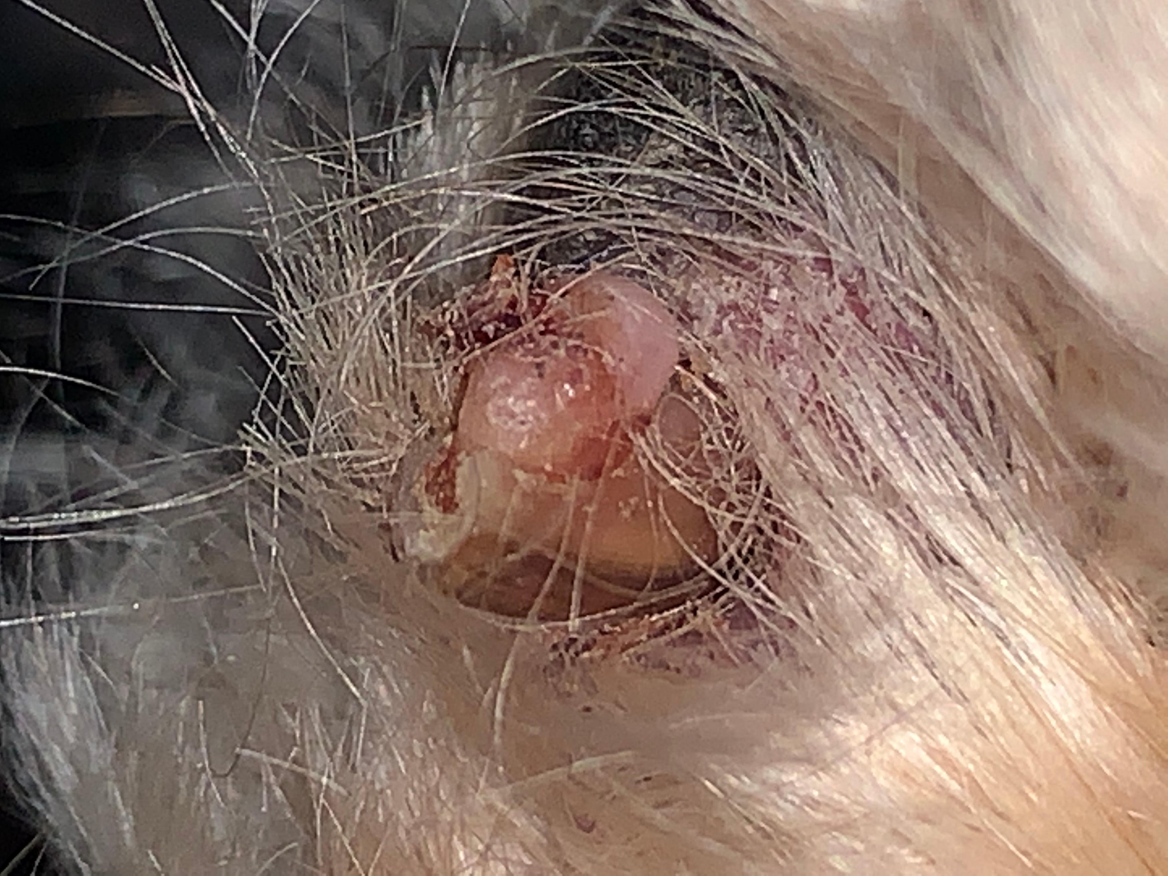 Question details sensitive content