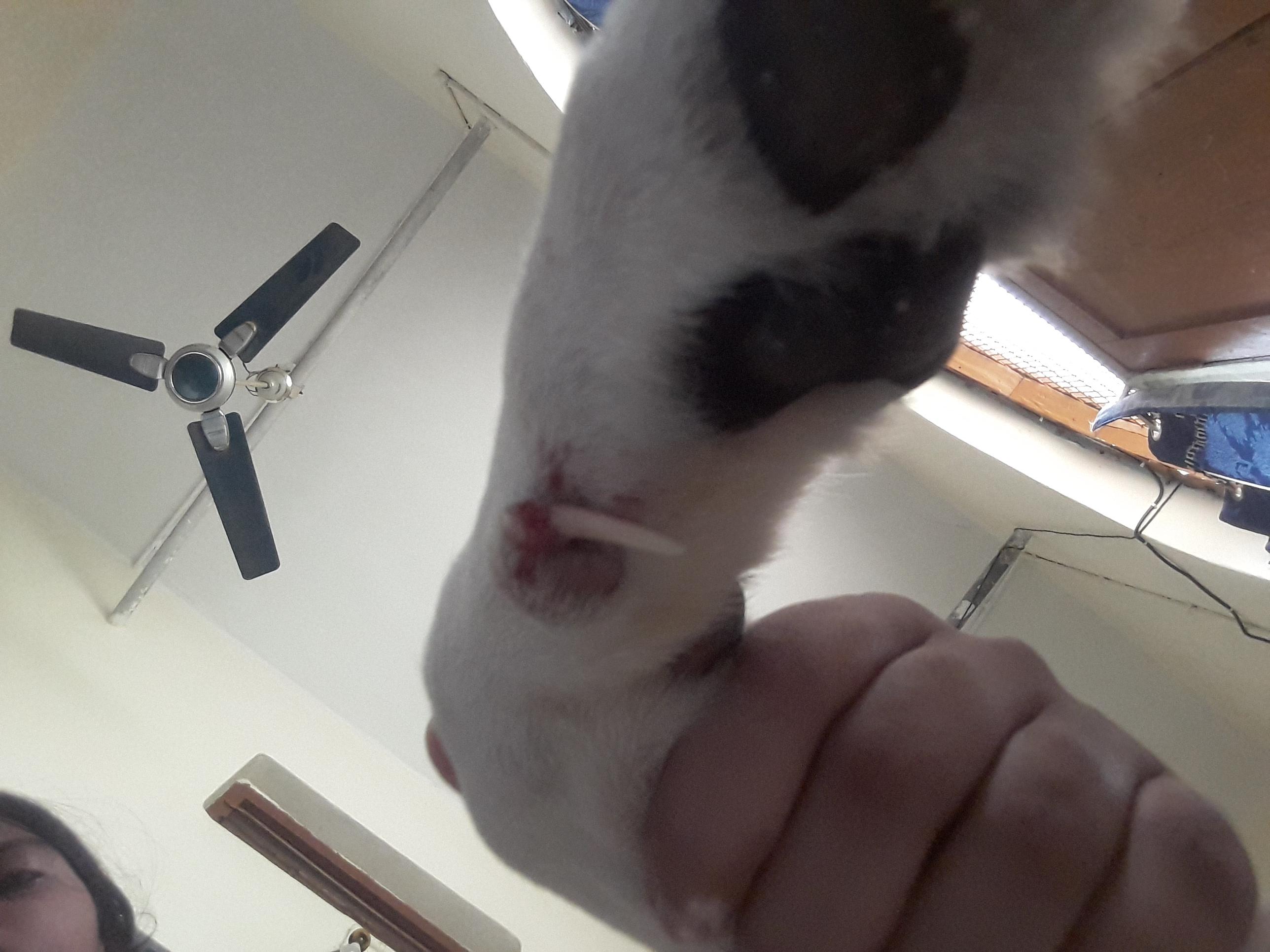 Question details sensitive content