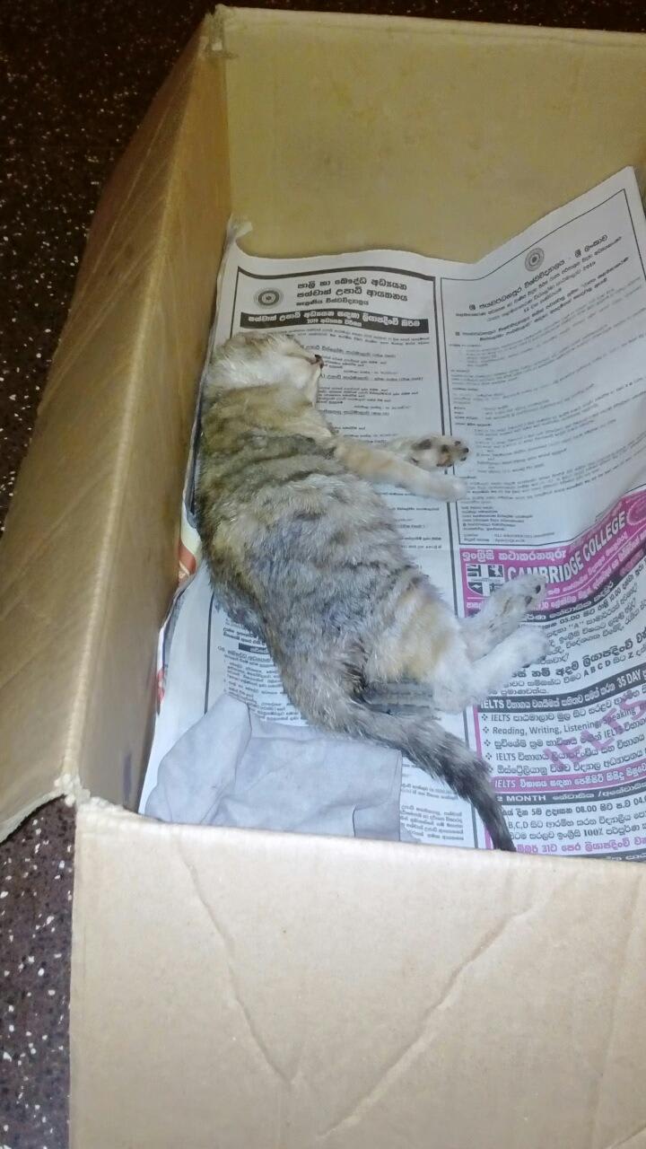 Question details sensitive content