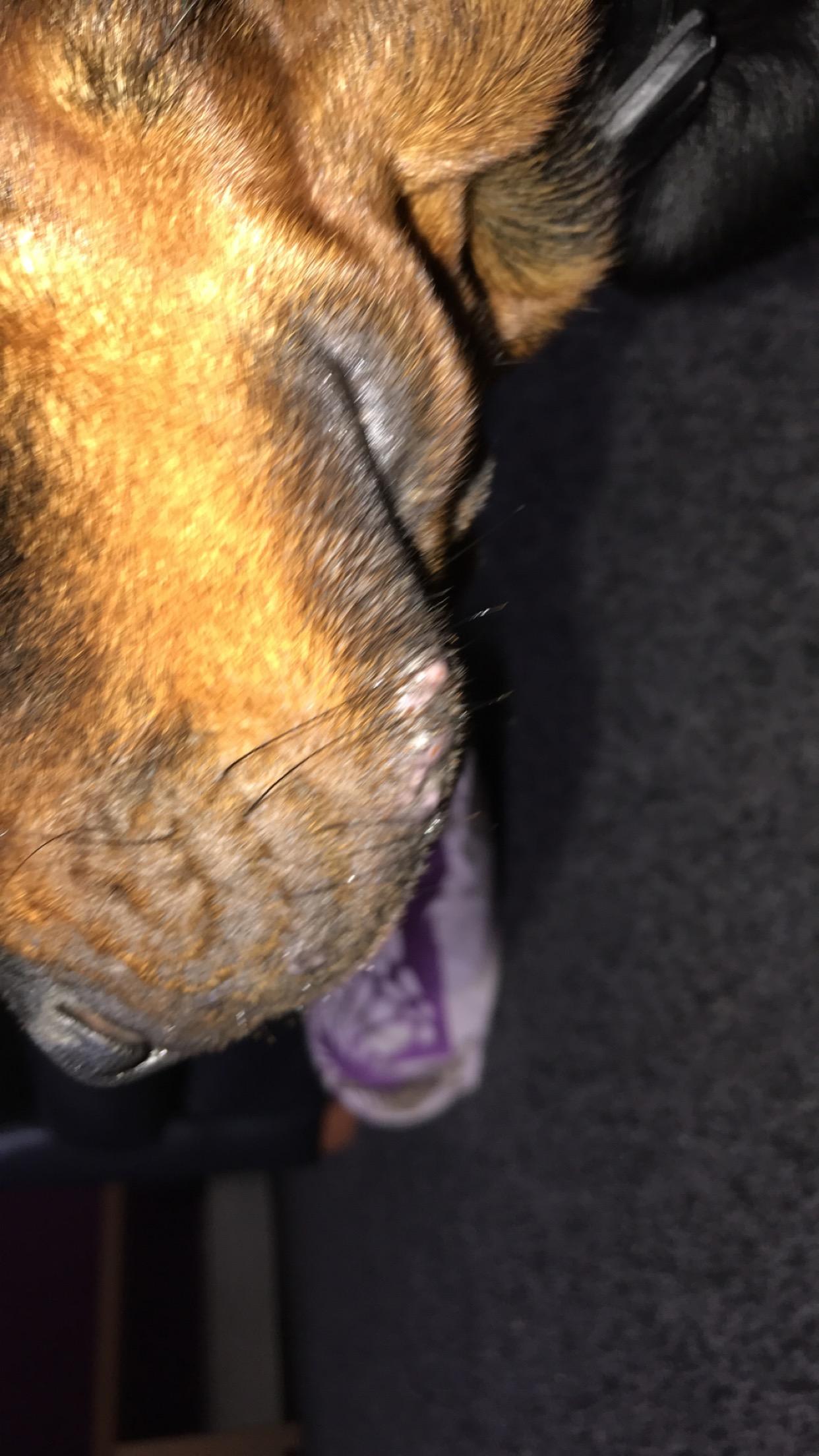 Question details sensitive content