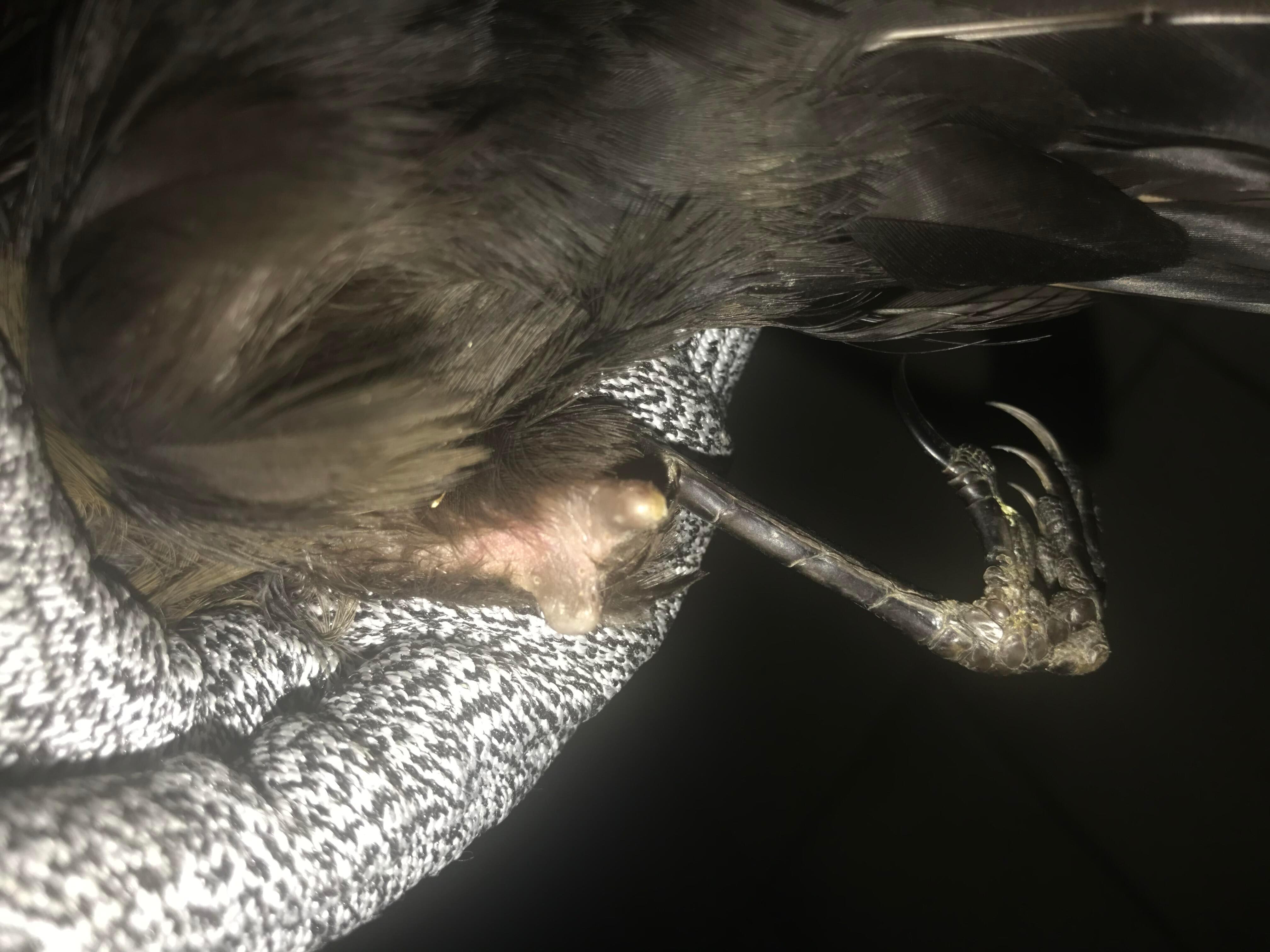 Question details sensitive content