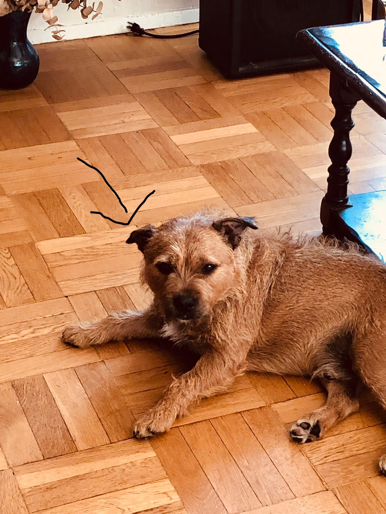 Question details sensitive content