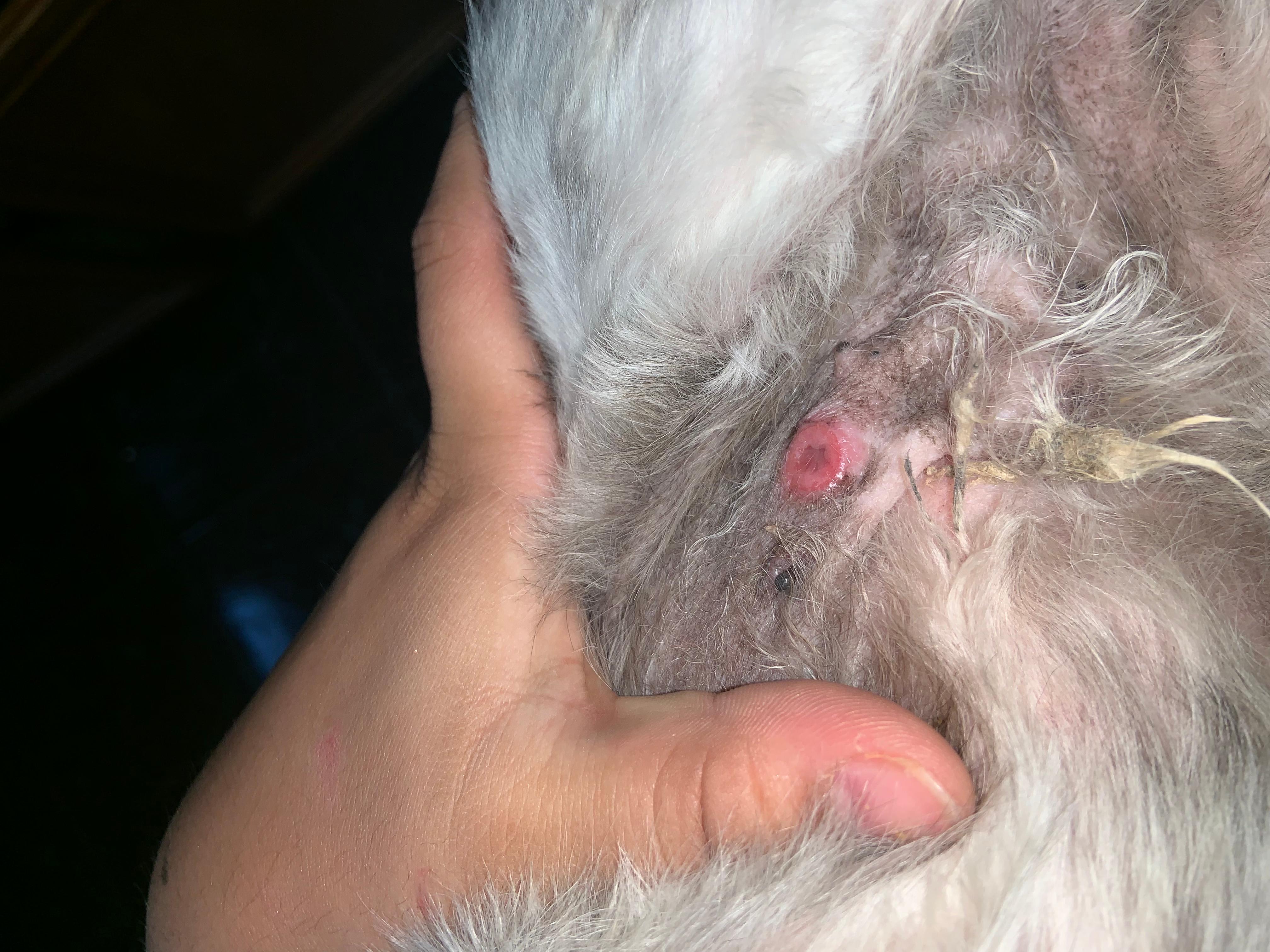 Question details sensitive content