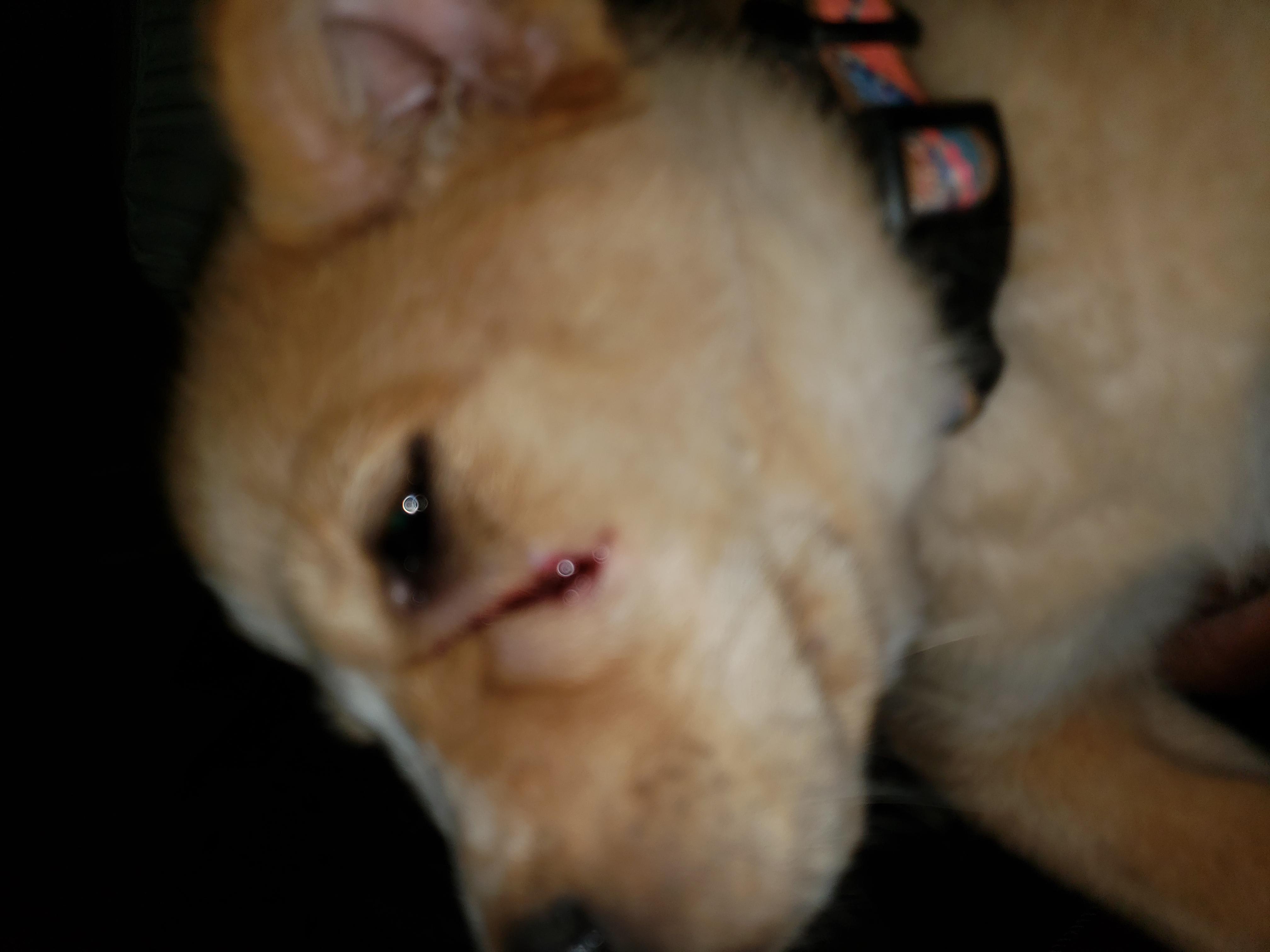 Question details sensitive content