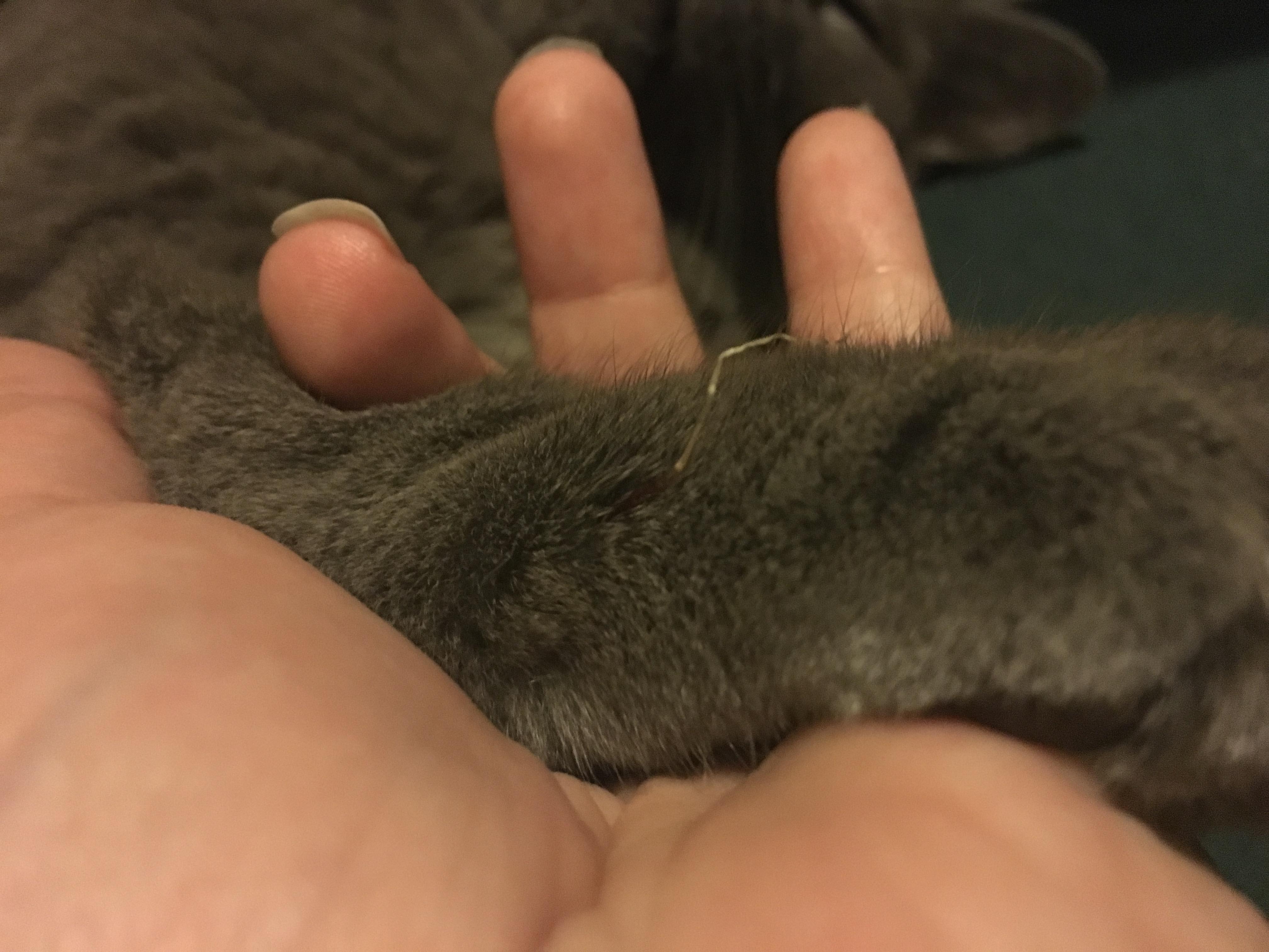 Question details sensitive content