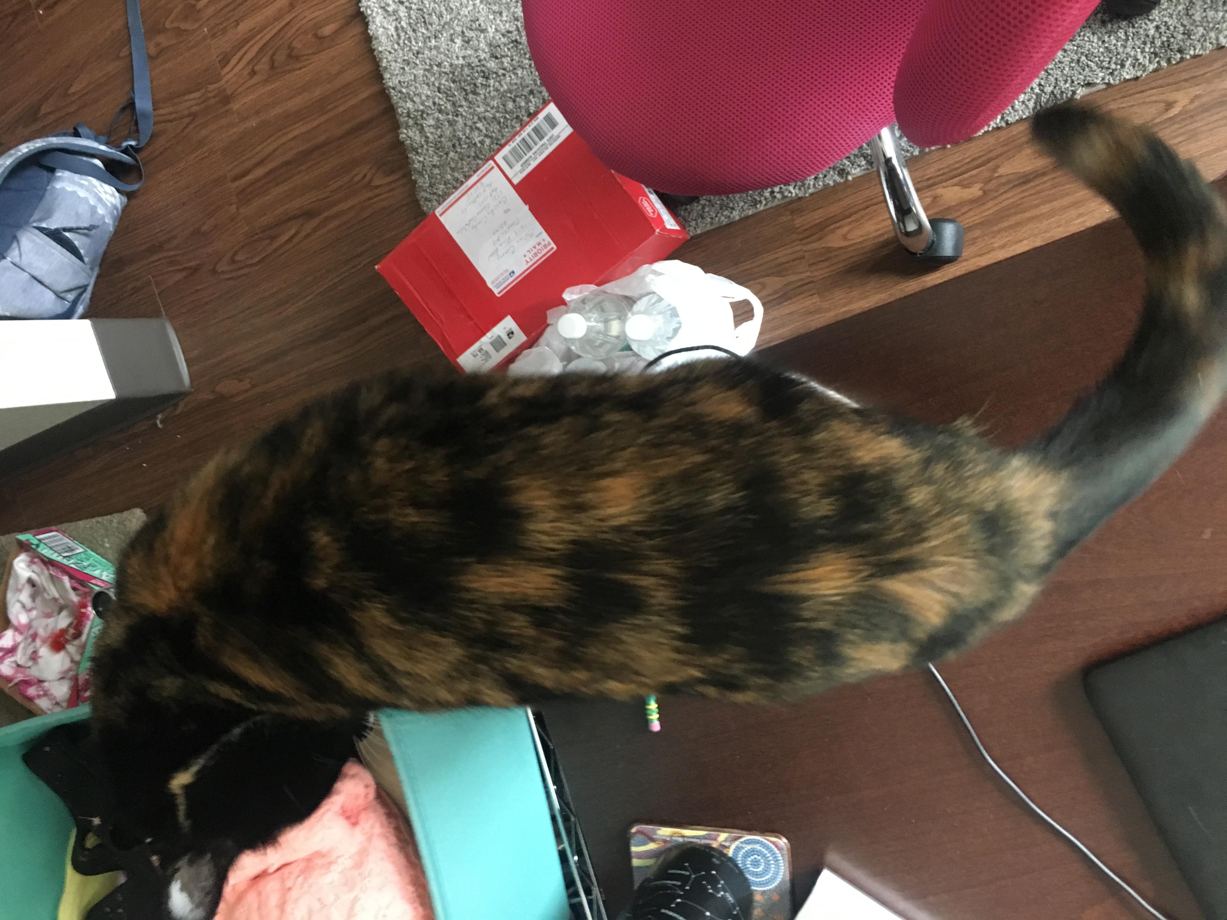 Question details sensitive content