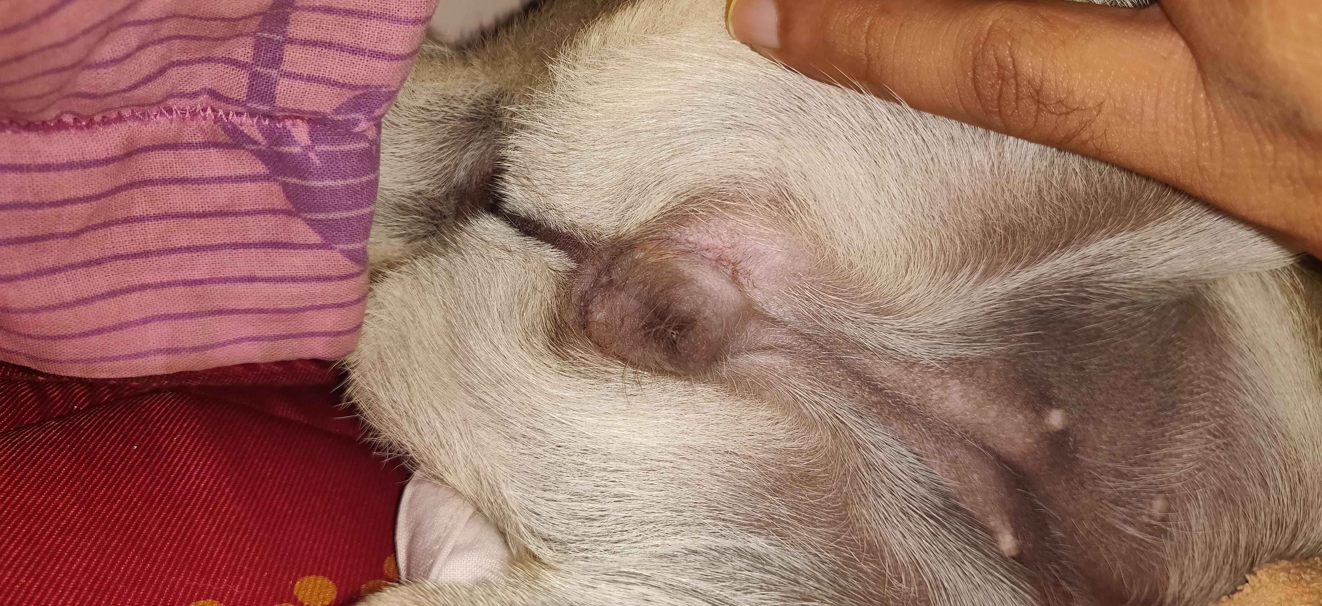 Question details sensitive content