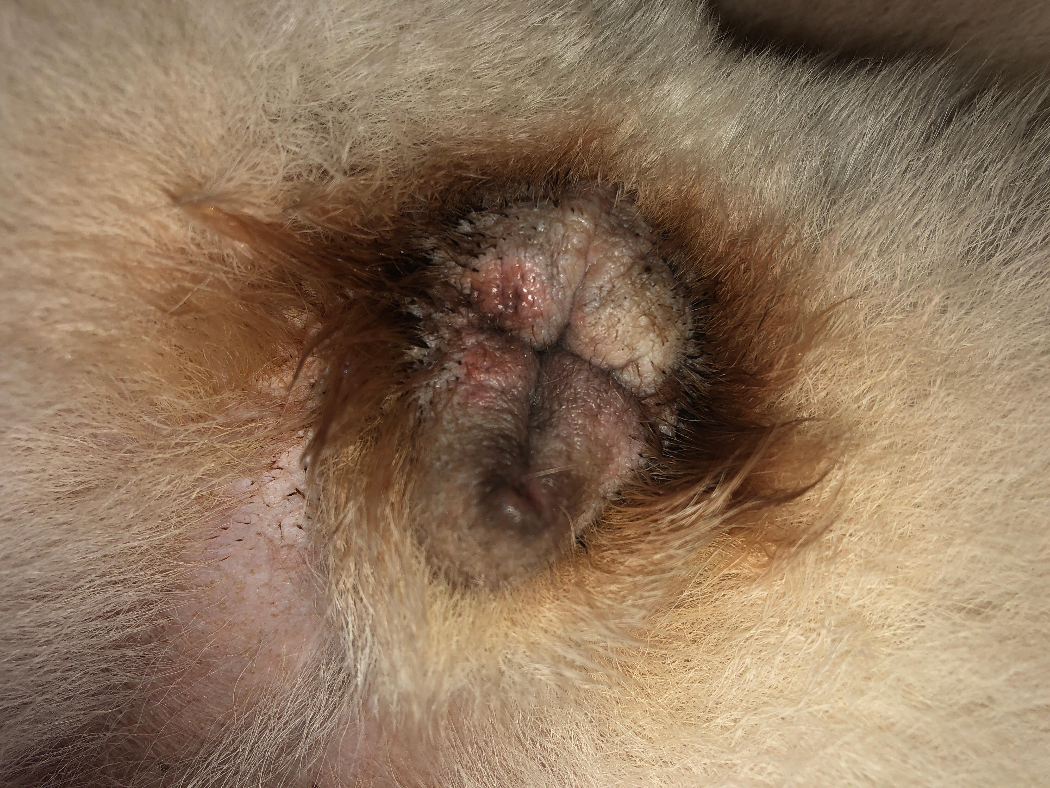 Question details sensitive content