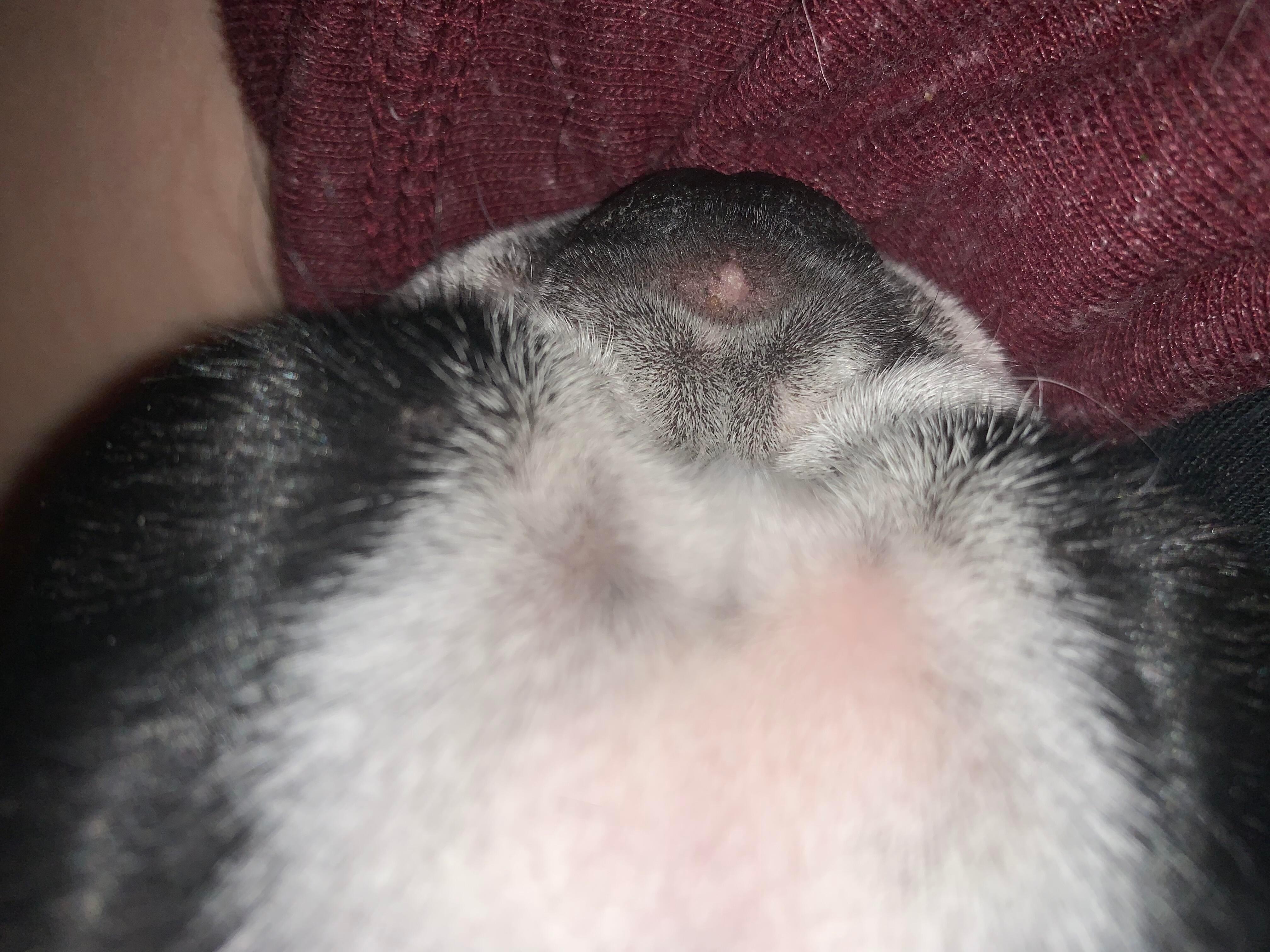 Question details sensitive content